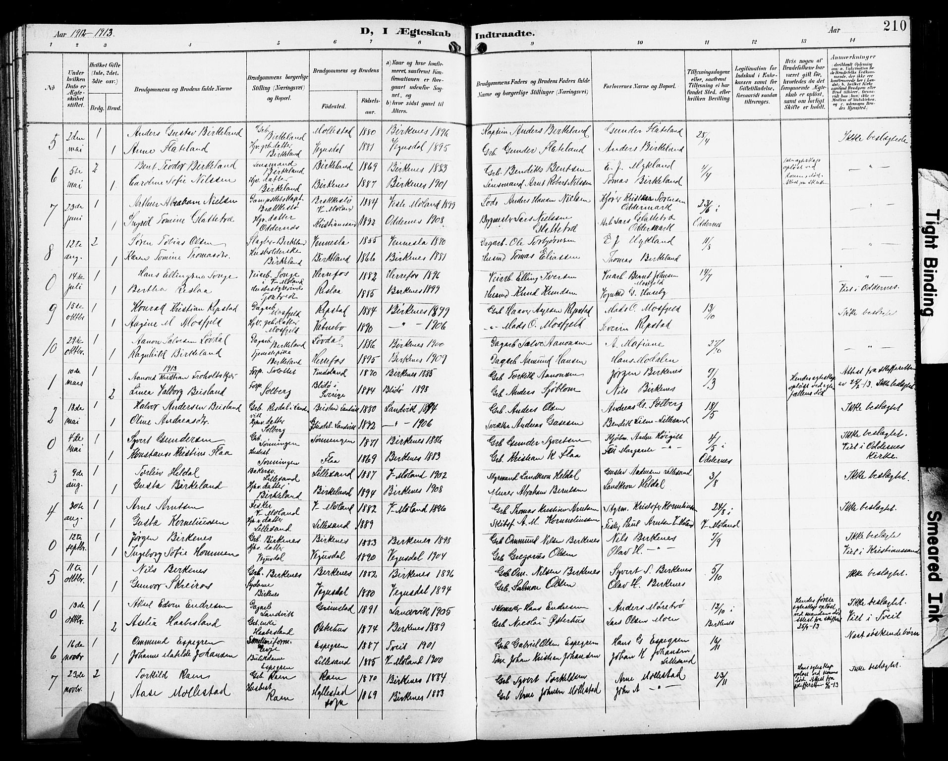 Birkenes sokneprestkontor, SAK/1111-0004/F/Fb/L0004: Parish register (copy) no. B 4, 1893-1930, p. 210