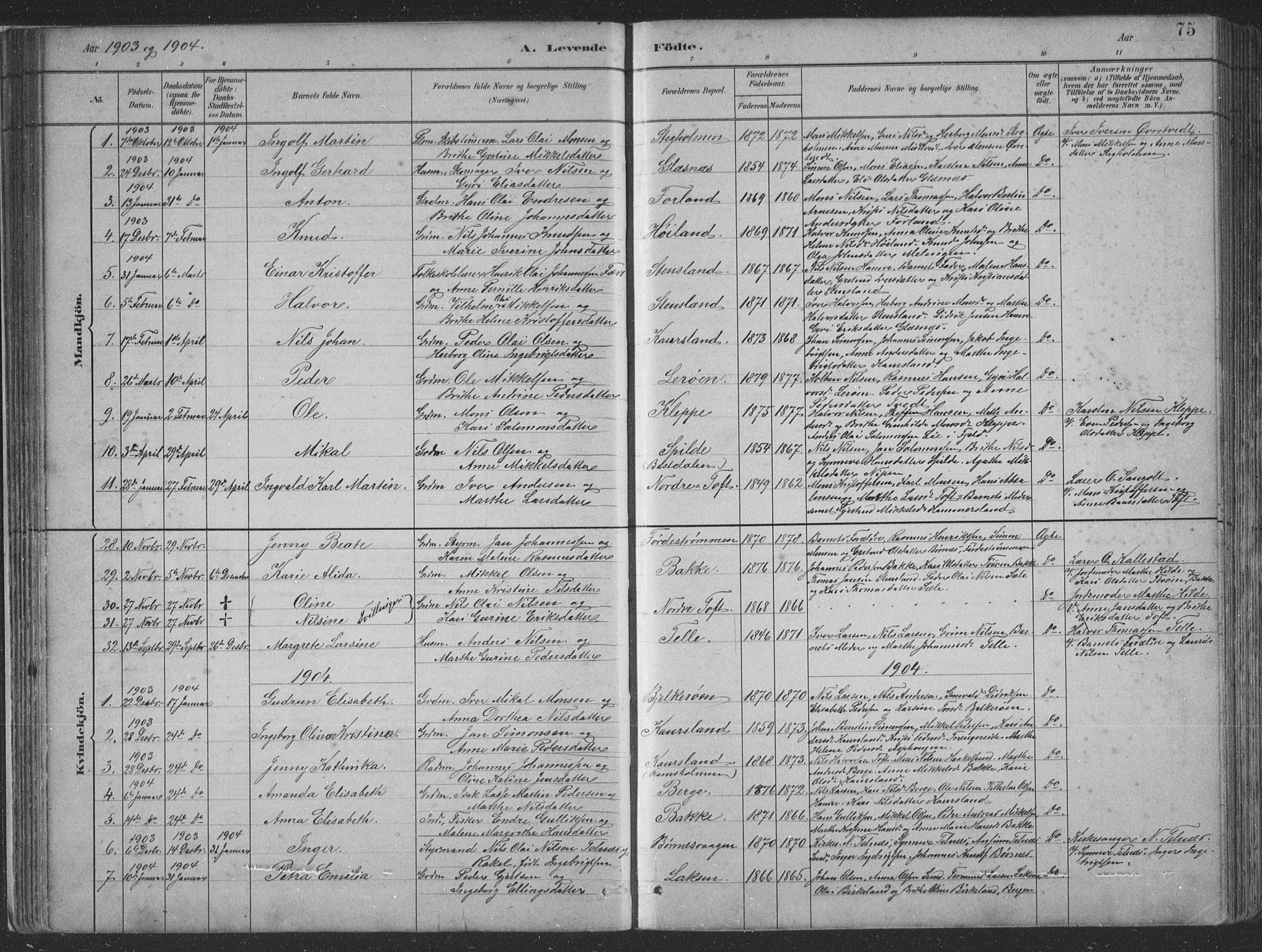Sund sokneprestembete, SAB/A-99930: Parish register (copy) no. B 3, 1882-1911, p. 75