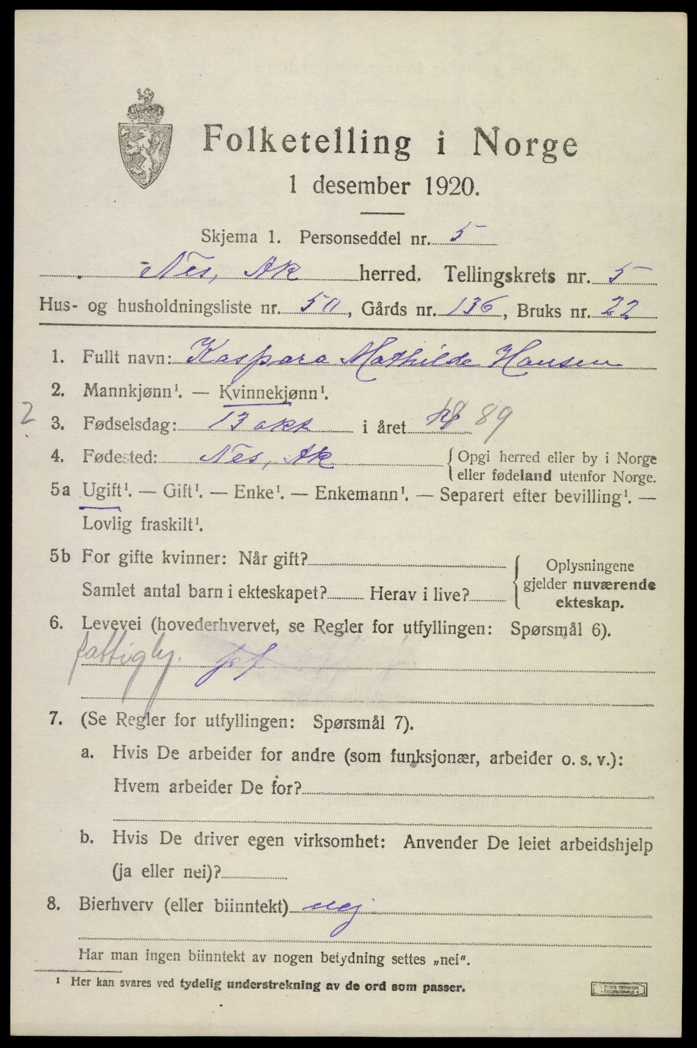 SAO, 1920 census for Nes, 1920, p. 7096