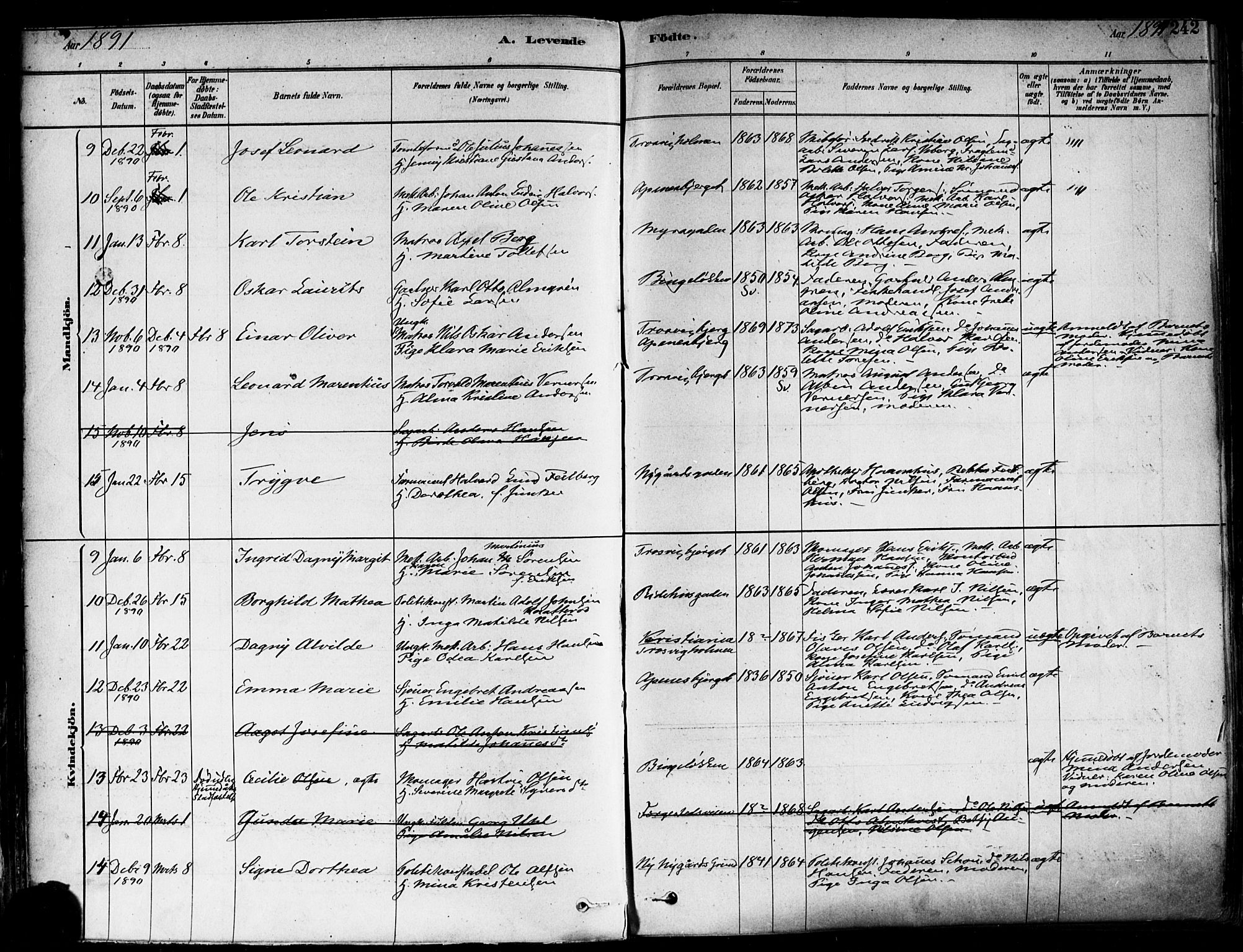 Fredrikstad domkirkes prestekontor Kirkebøker, AV/SAO-A-10906/F/Fa/L0002: Parish register (official) no. 2, 1878-1894, p. 242