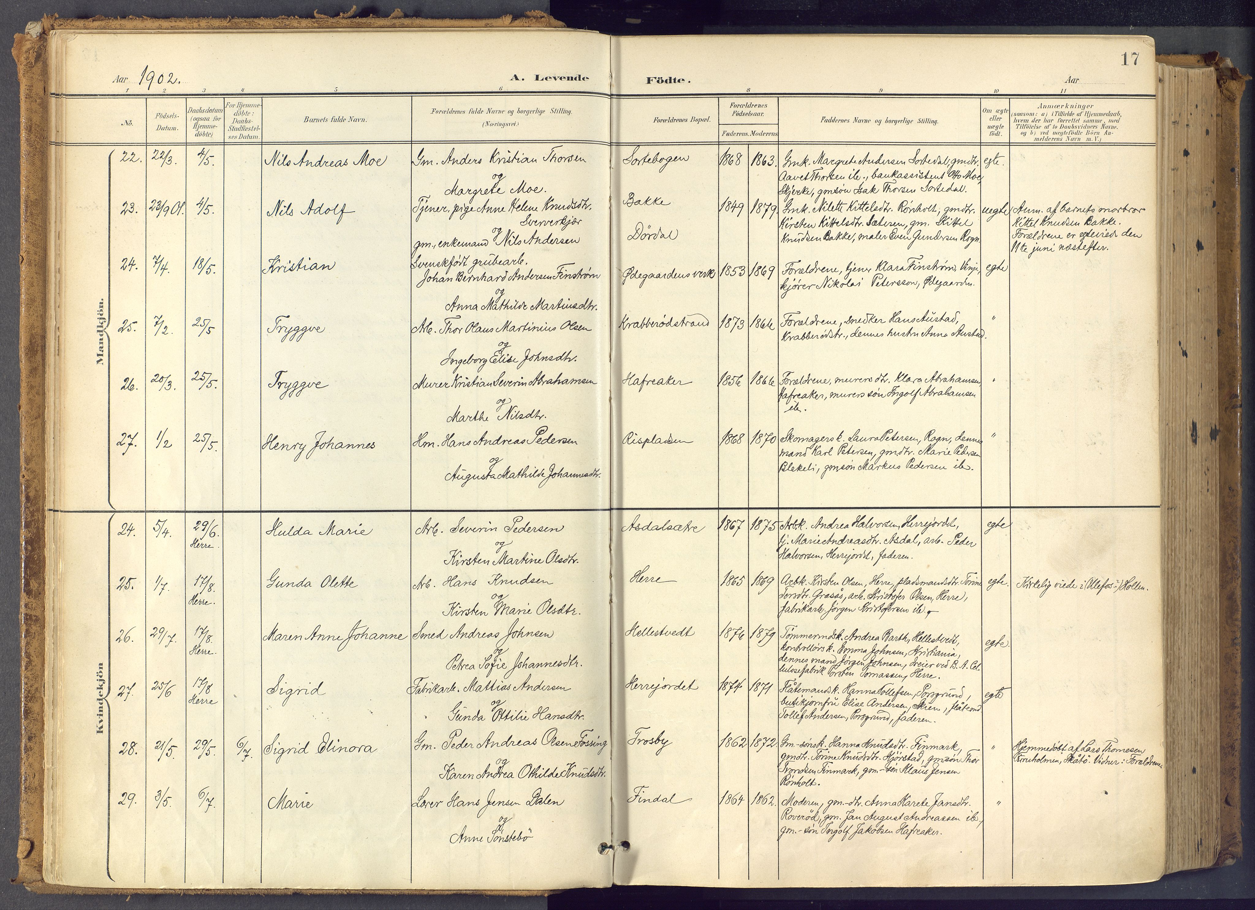 Bamble kirkebøker, SAKO/A-253/F/Fa/L0009: Parish register (official) no. I 9, 1901-1917, p. 17