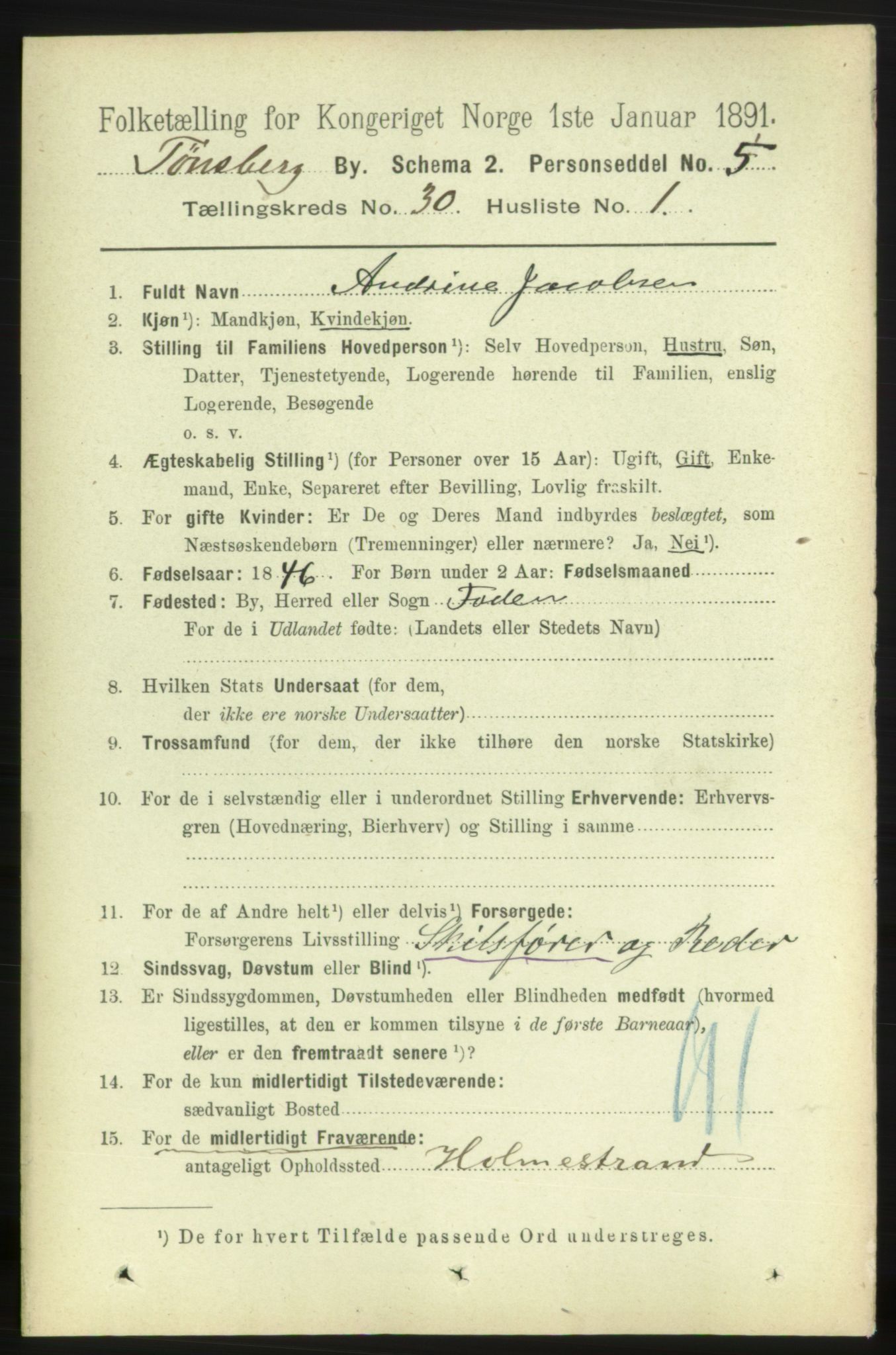 RA, 1891 census for 0705 Tønsberg, 1891, p. 7213