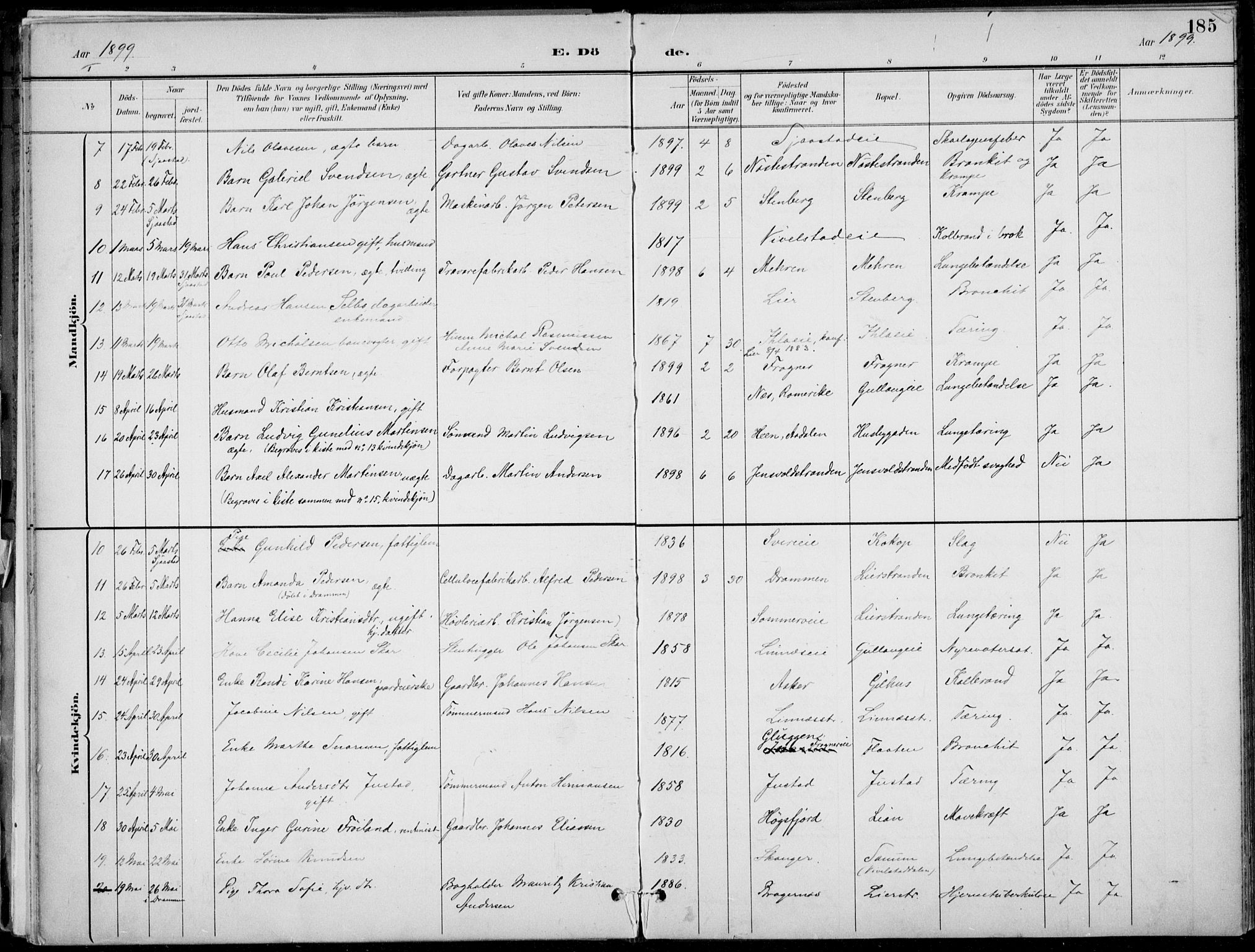 Lier kirkebøker, SAKO/A-230/F/Fa/L0016: Parish register (official) no. I 16, 1895-1900, p. 185