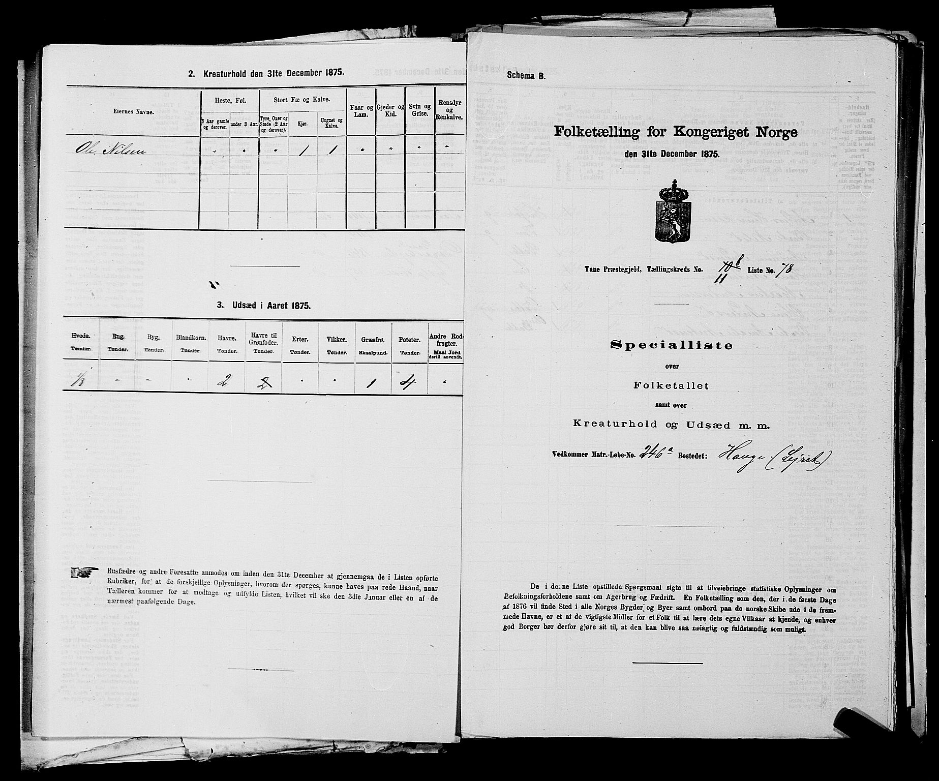 RA, 1875 census for 0130P Tune, 1875, p. 1701