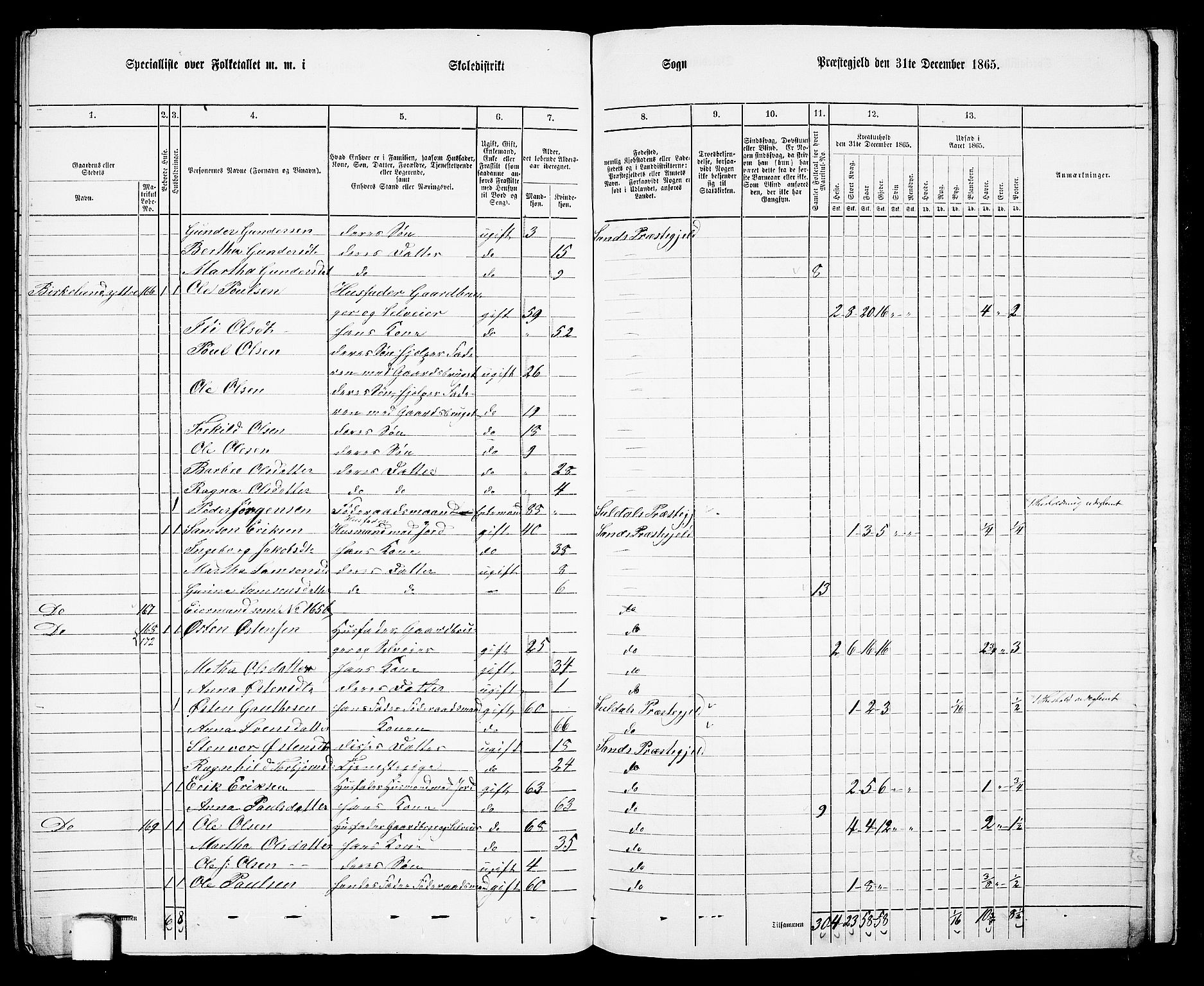 RA, 1865 census for Sand, 1865, p. 151