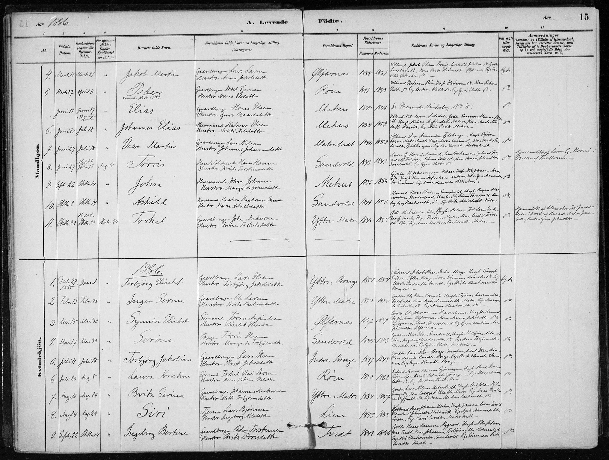 Skånevik sokneprestembete, SAB/A-77801/H/Haa: Parish register (official) no. C  1, 1879-1917, p. 15