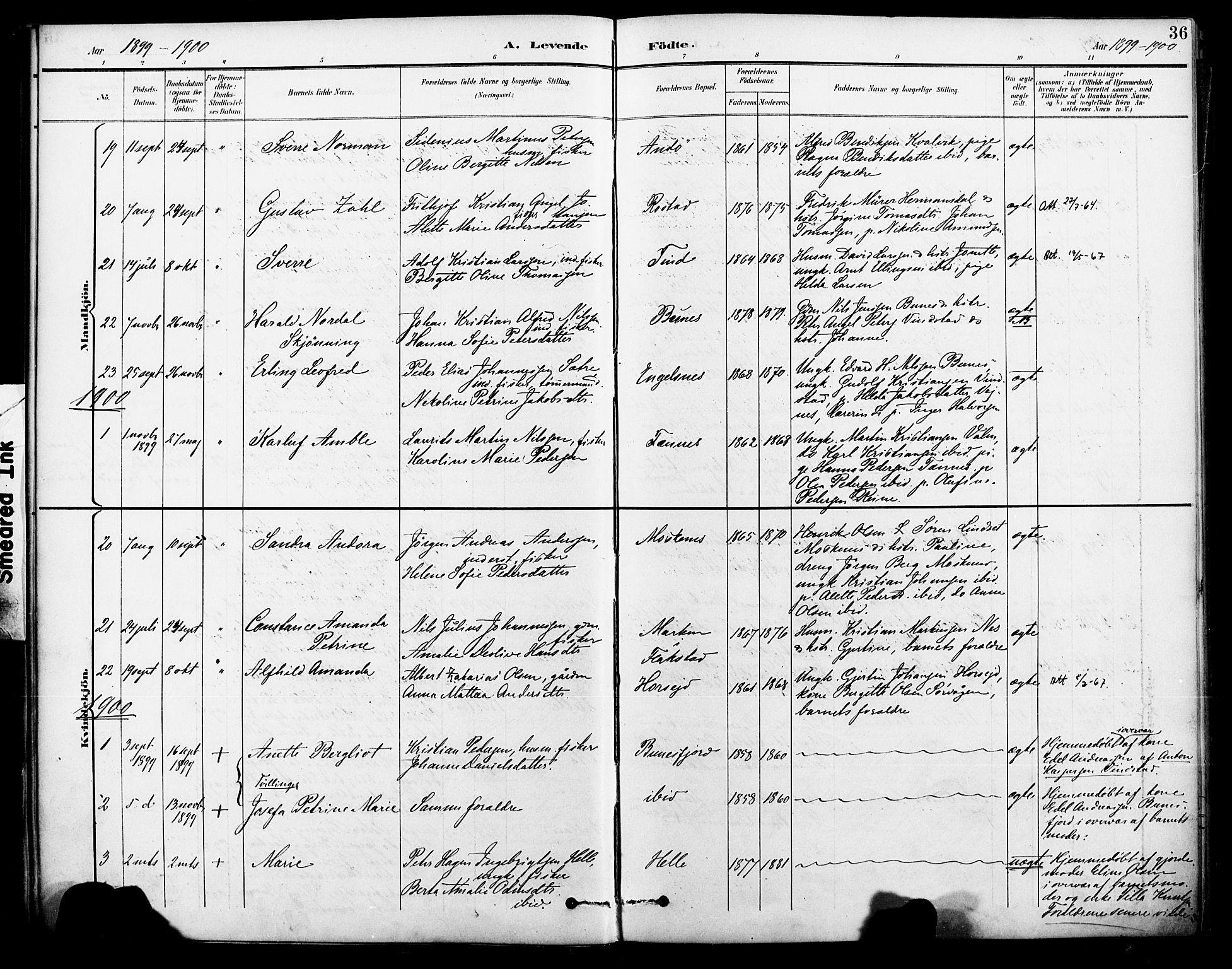 Ministerialprotokoller, klokkerbøker og fødselsregistre - Nordland, AV/SAT-A-1459/886/L1220: Parish register (official) no. 886A02, 1892-1903, p. 36