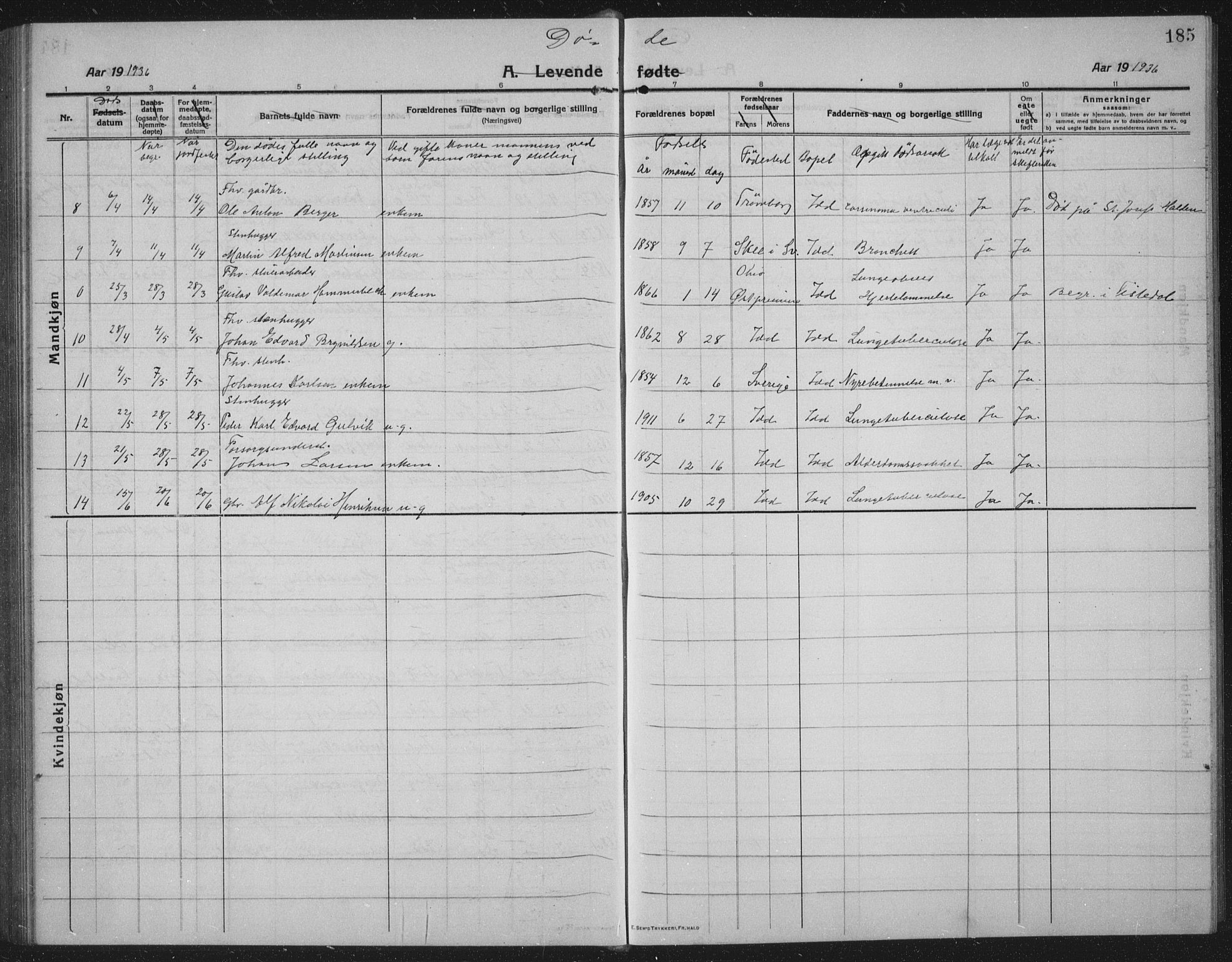 Idd prestekontor Kirkebøker, SAO/A-10911/G/Gb/L0003: Parish register (copy) no. II 3, 1914-1940, p. 185