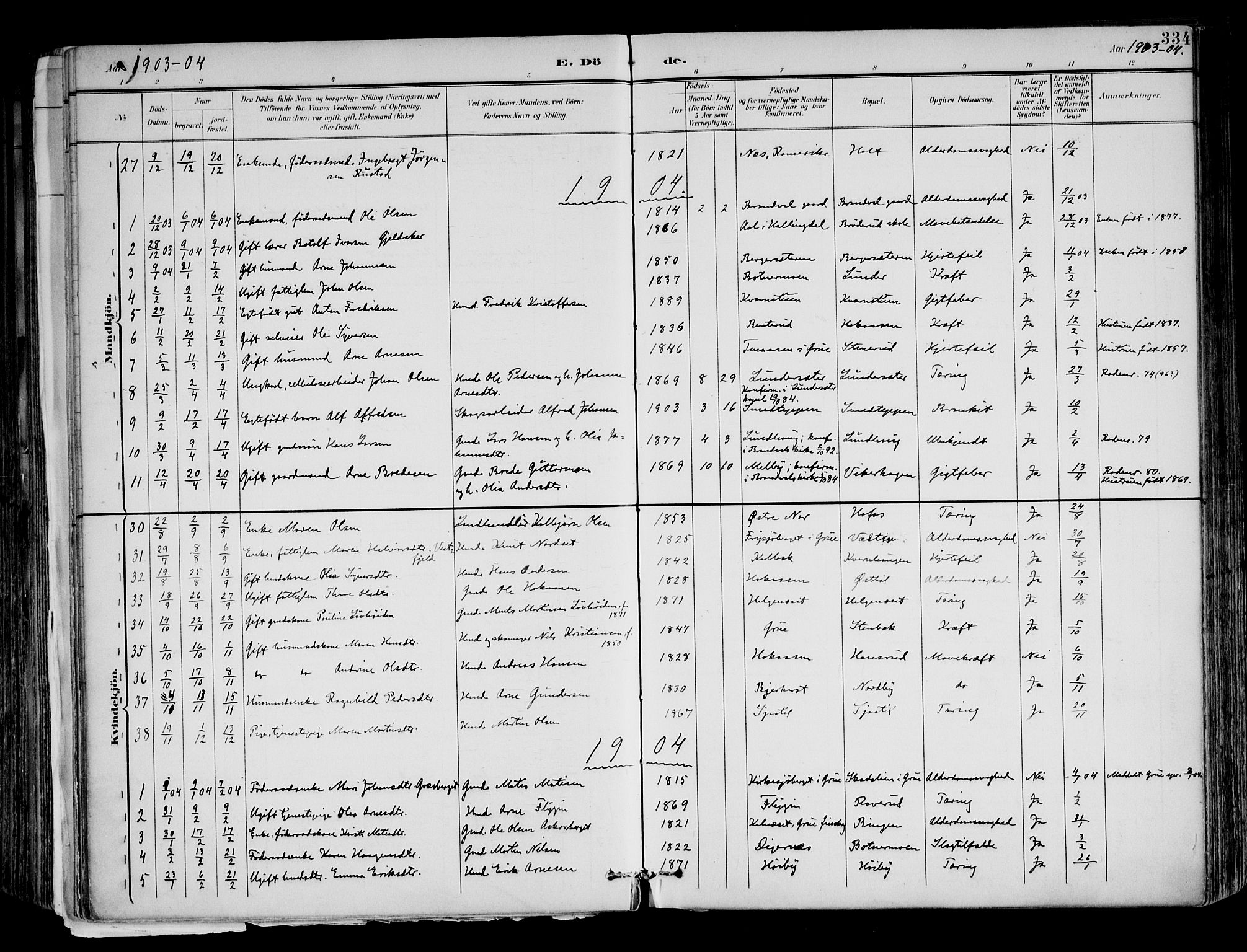 Brandval prestekontor, SAH/PREST-034/H/Ha/Haa/L0003: Parish register (official) no. 3, 1894-1909, p. 334