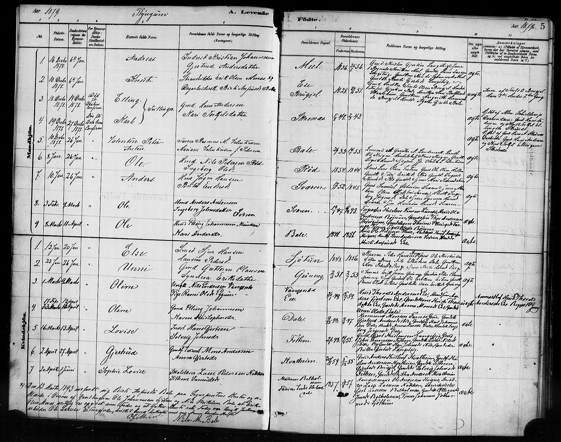 Balestrand sokneprestembete, AV/SAB-A-79601/H/Haa/Haaa/L0004: Parish register (official) no. A 4 / 1, 1879-1888, p. 5