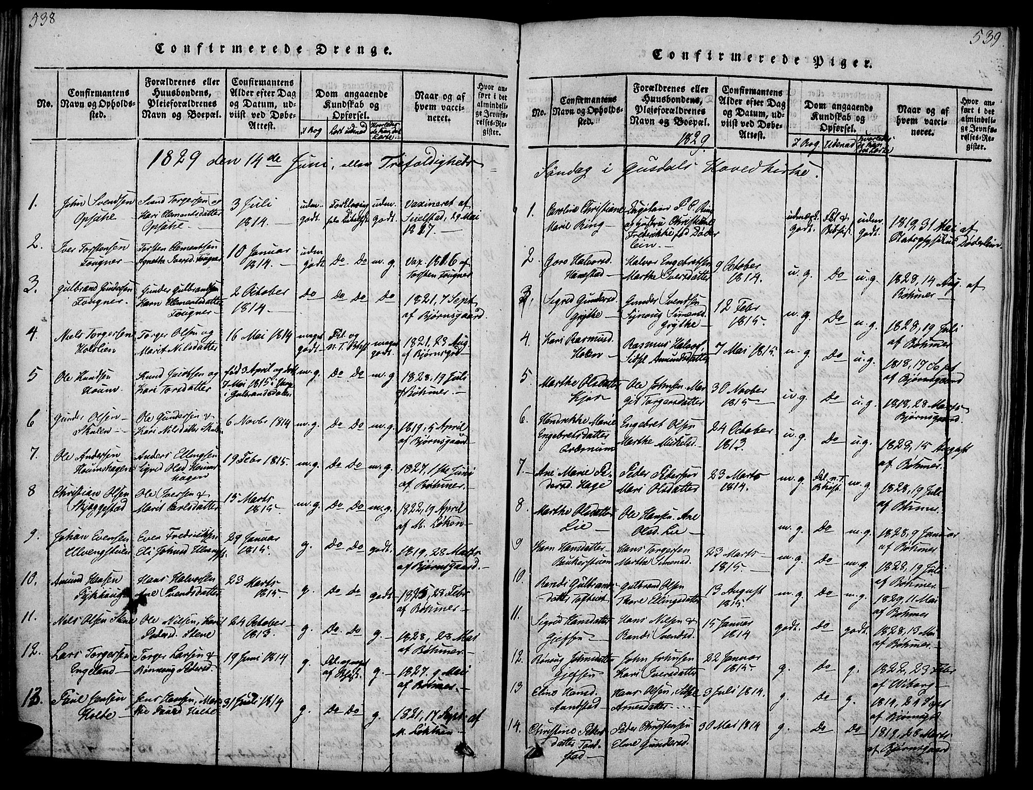 Gausdal prestekontor, SAH/PREST-090/H/Ha/Haa/L0005: Parish register (official) no. 5, 1817-1829, p. 538-539