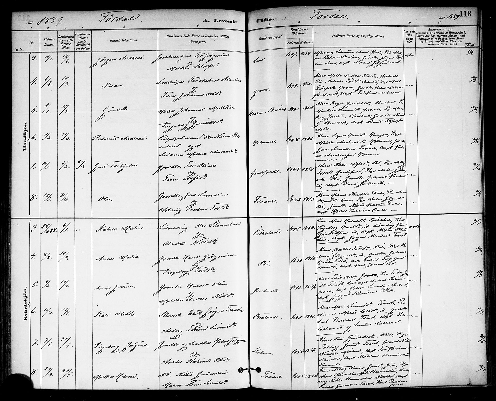 Drangedal kirkebøker, SAKO/A-258/F/Fa/L0010: Parish register (official) no. 10 /2, 1885-1894, p. 113
