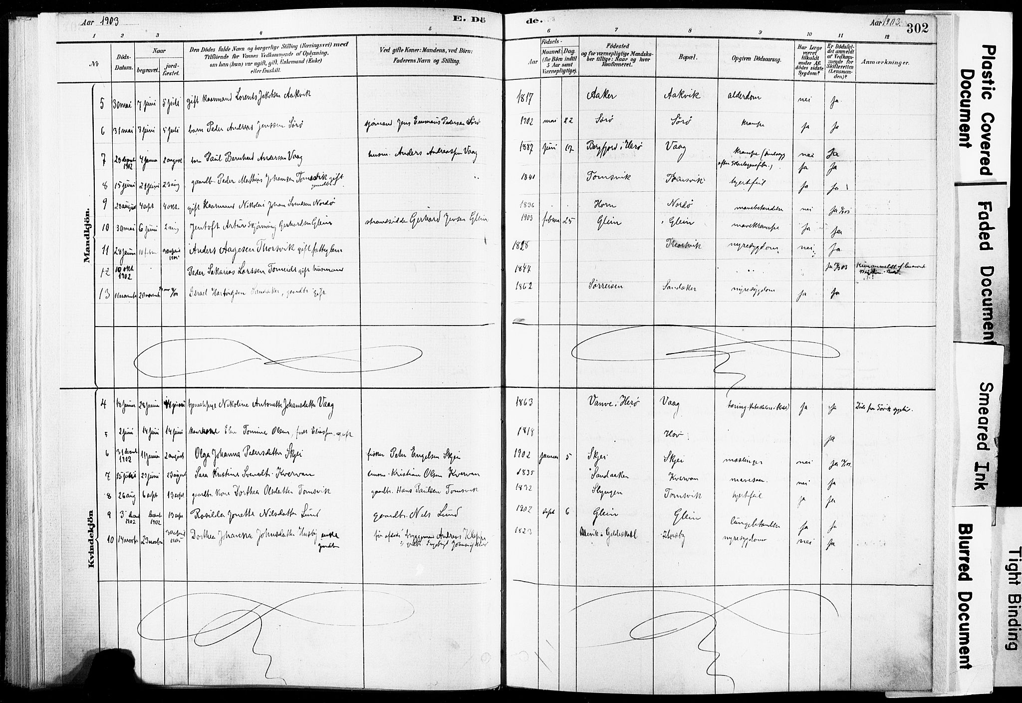 Ministerialprotokoller, klokkerbøker og fødselsregistre - Nordland, AV/SAT-A-1459/835/L0526: Parish register (official) no. 835A03II, 1881-1910, p. 302