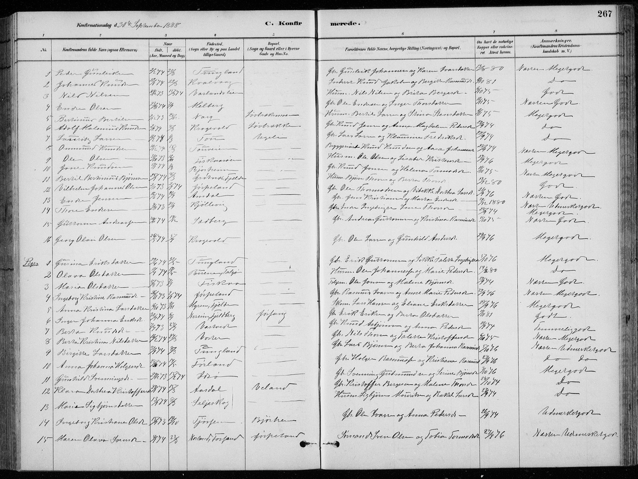Strand sokneprestkontor, SAST/A-101828/H/Ha/Hab/L0004: Parish register (copy) no. B 4, 1878-1903, p. 267