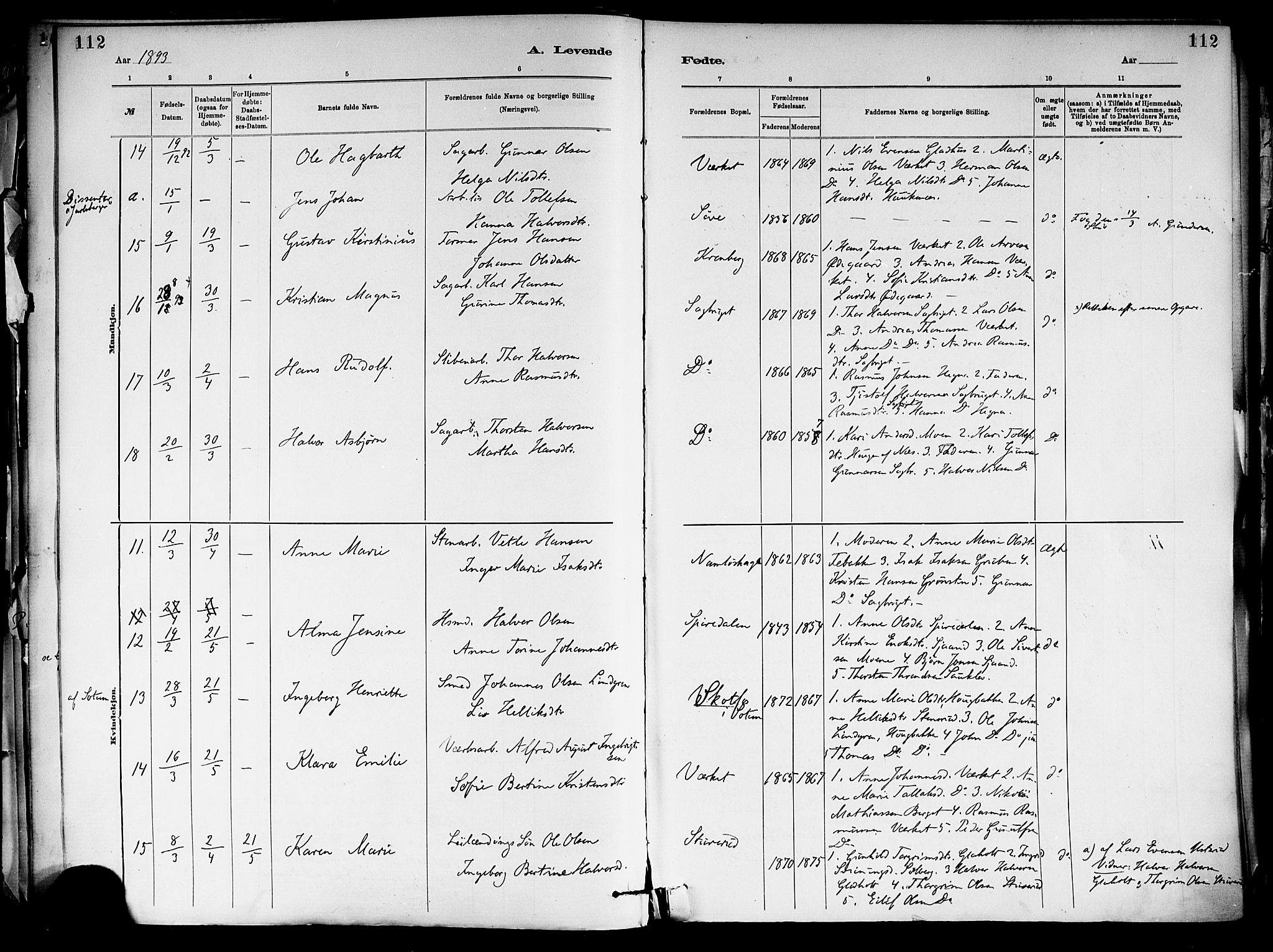 Holla kirkebøker, AV/SAKO-A-272/F/Fa/L0008: Parish register (official) no. 8, 1882-1897, p. 112