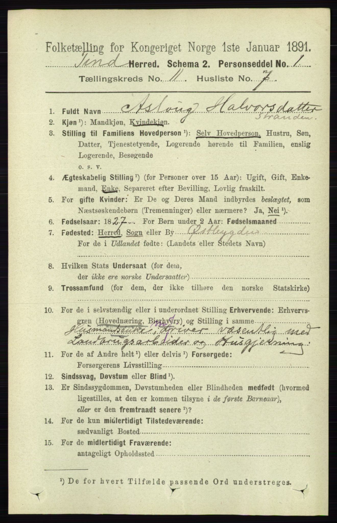 RA, 1891 census for 0826 Tinn, 1891, p. 2159