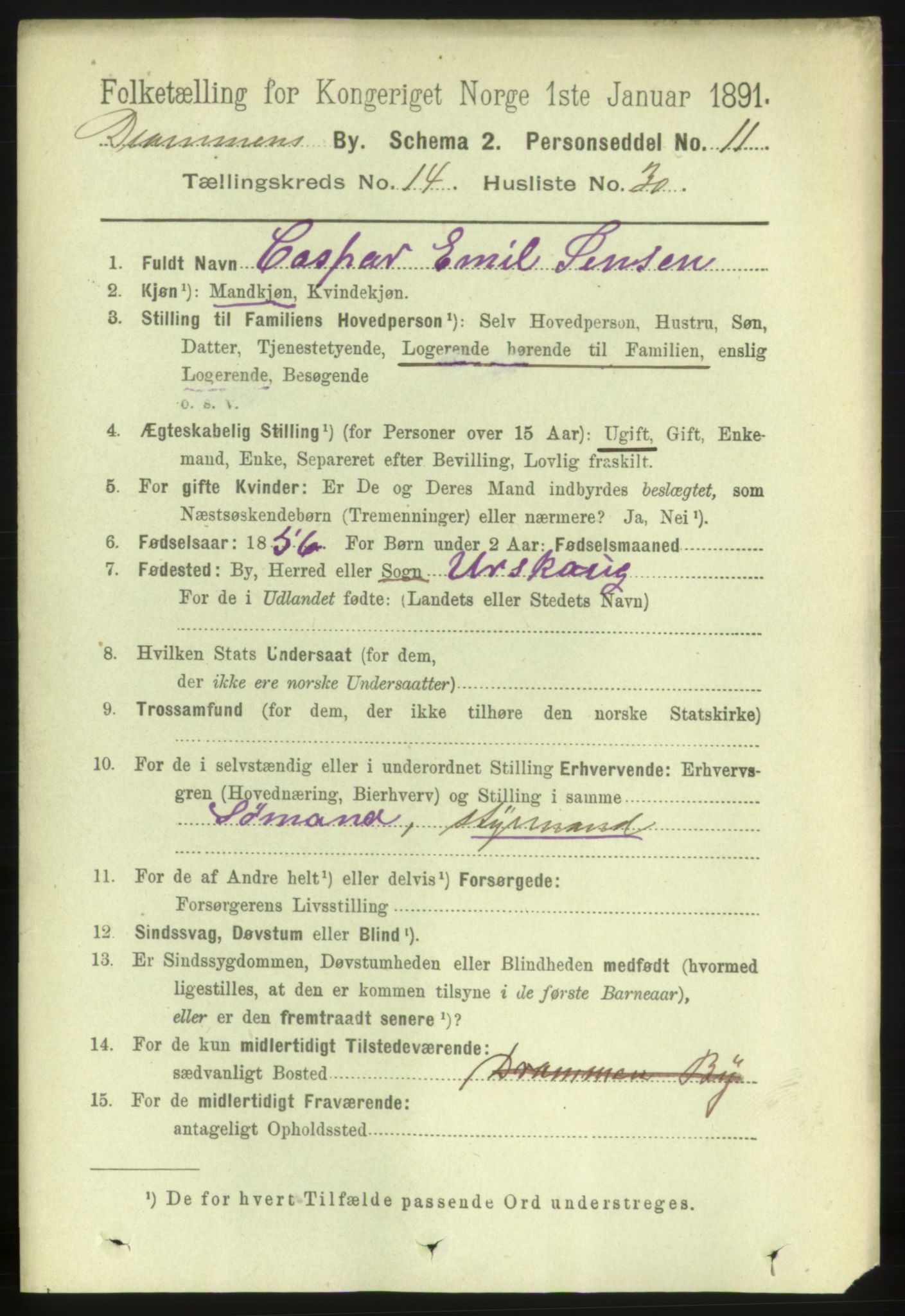 RA, 1891 census for 0602 Drammen, 1891, p. 10419