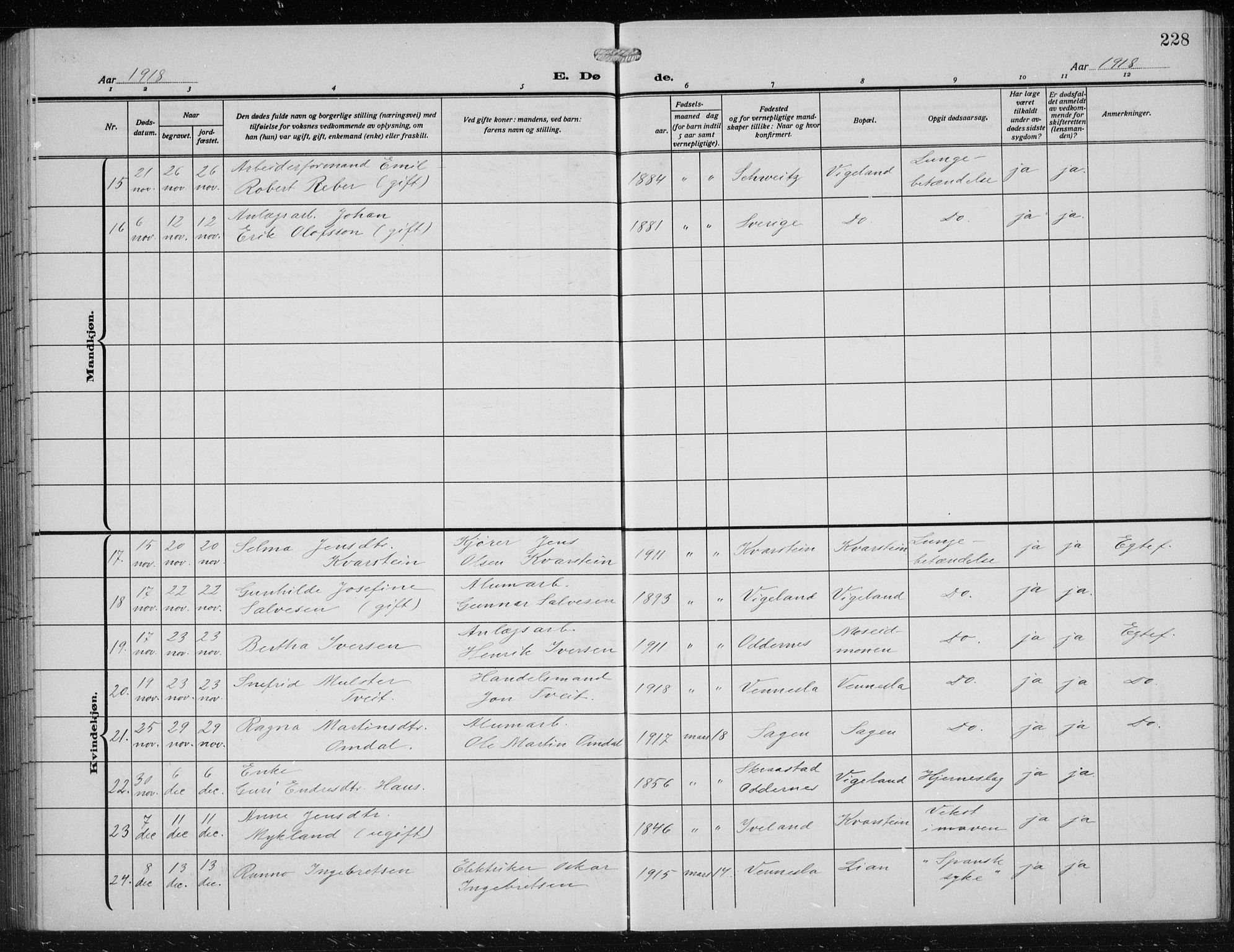 Vennesla sokneprestkontor, SAK/1111-0045/Fb/Fbb/L0006: Parish register (copy) no. B 6, 1914-1921, p. 228