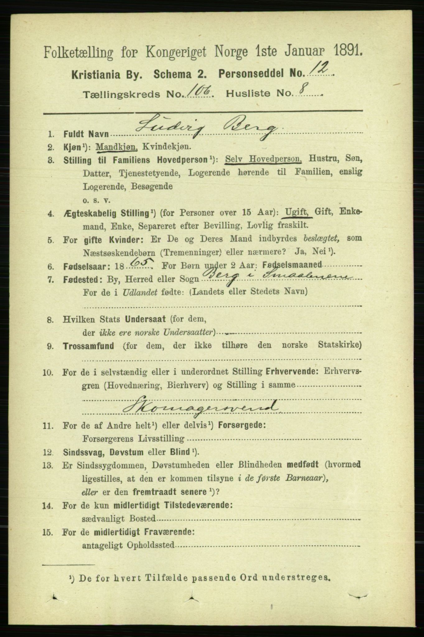 RA, 1891 census for 0301 Kristiania, 1891, p. 54028