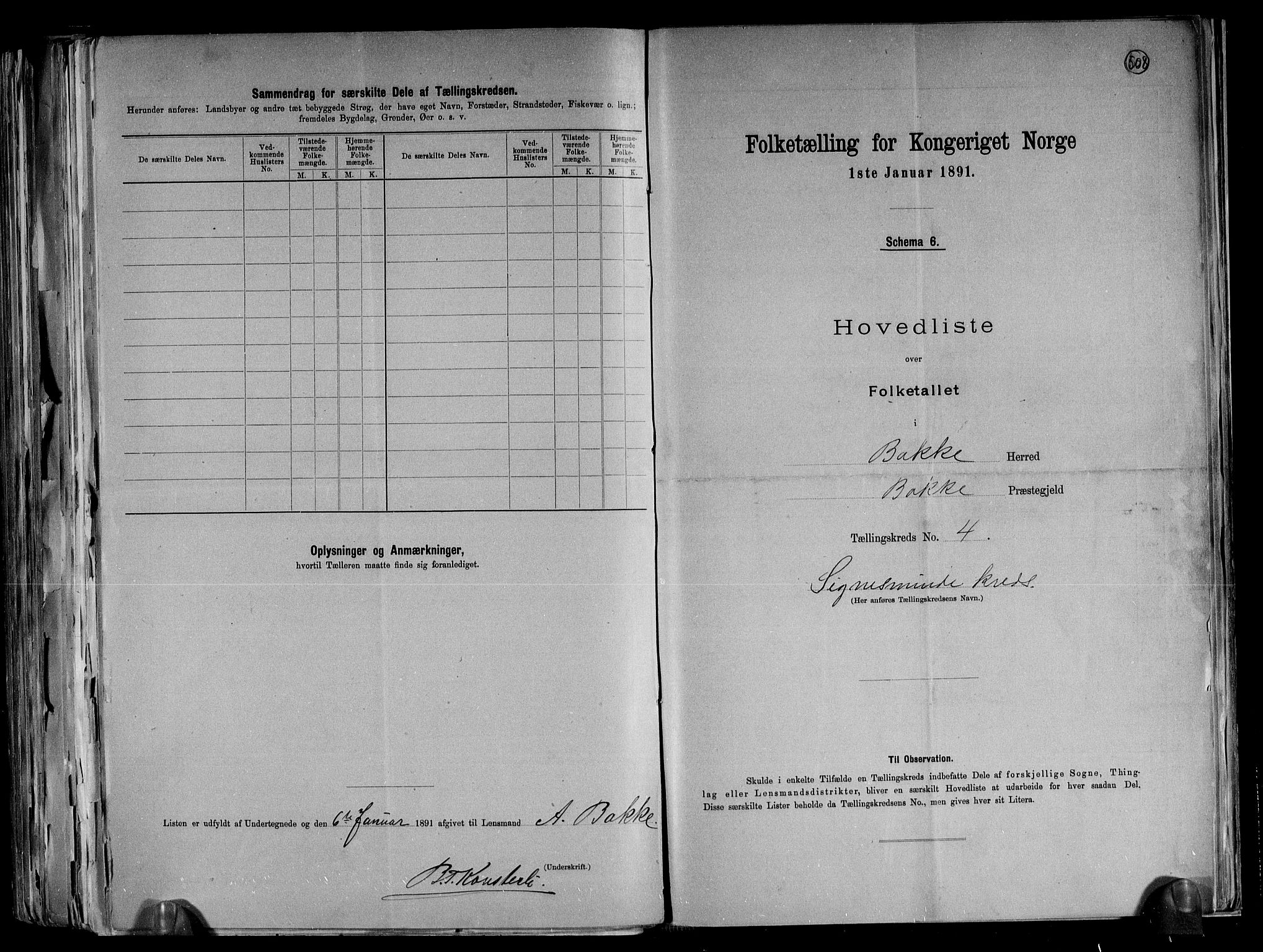 RA, 1891 census for 1045 Bakke, 1891, p. 11