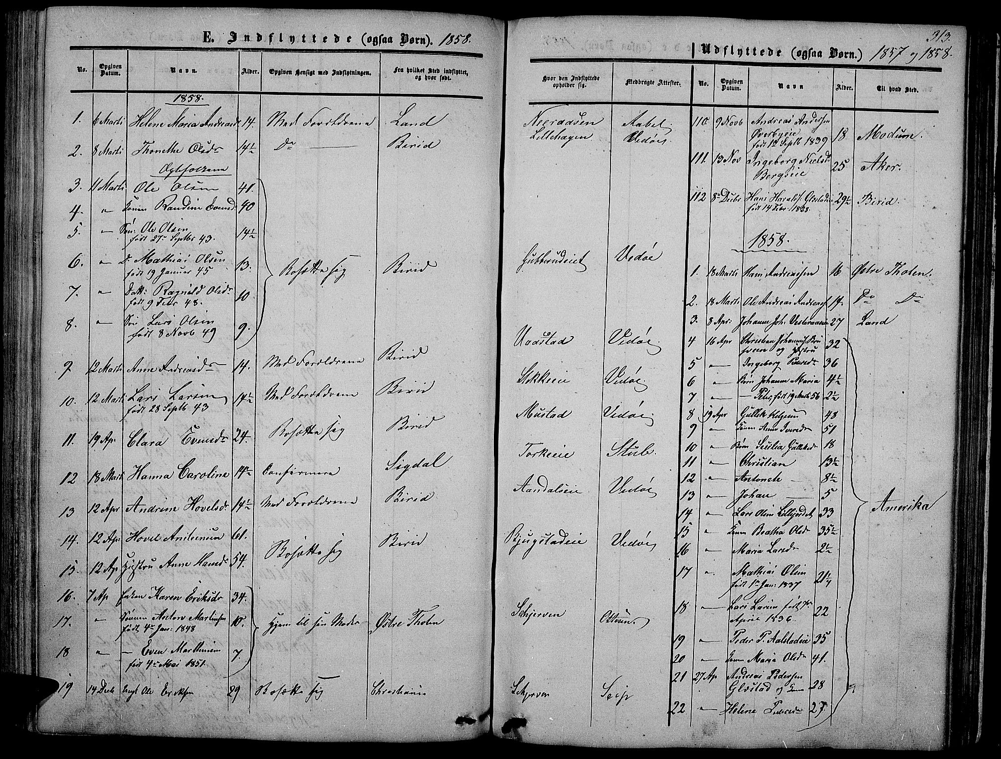 Vardal prestekontor, SAH/PREST-100/H/Ha/Hab/L0005: Parish register (copy) no. 5, 1854-1868, p. 313