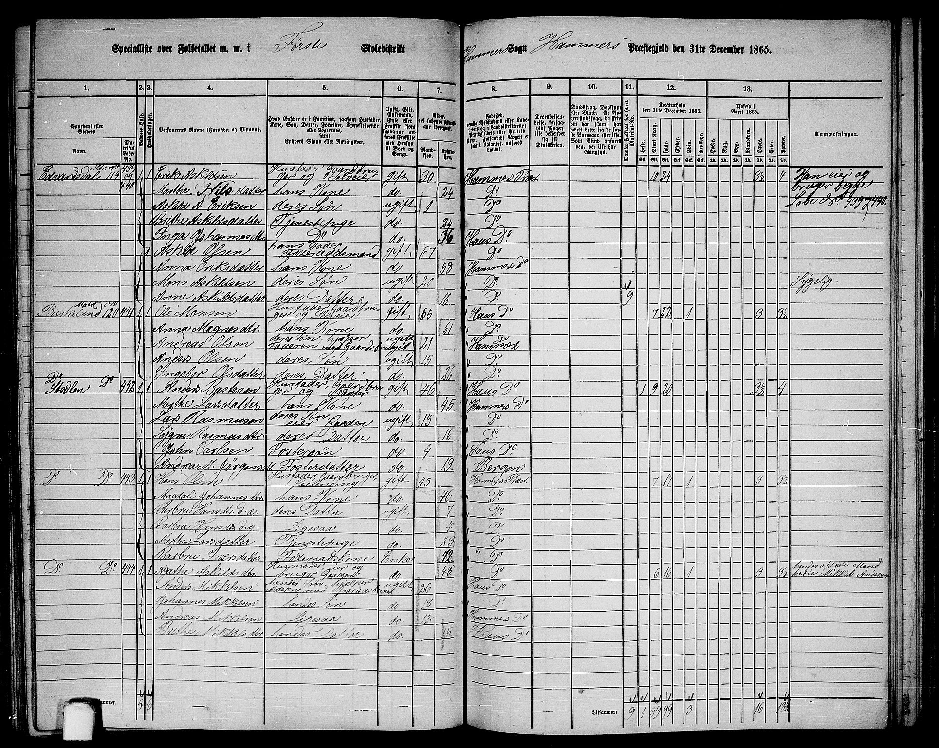 RA, 1865 census for Hamre, 1865, p. 158