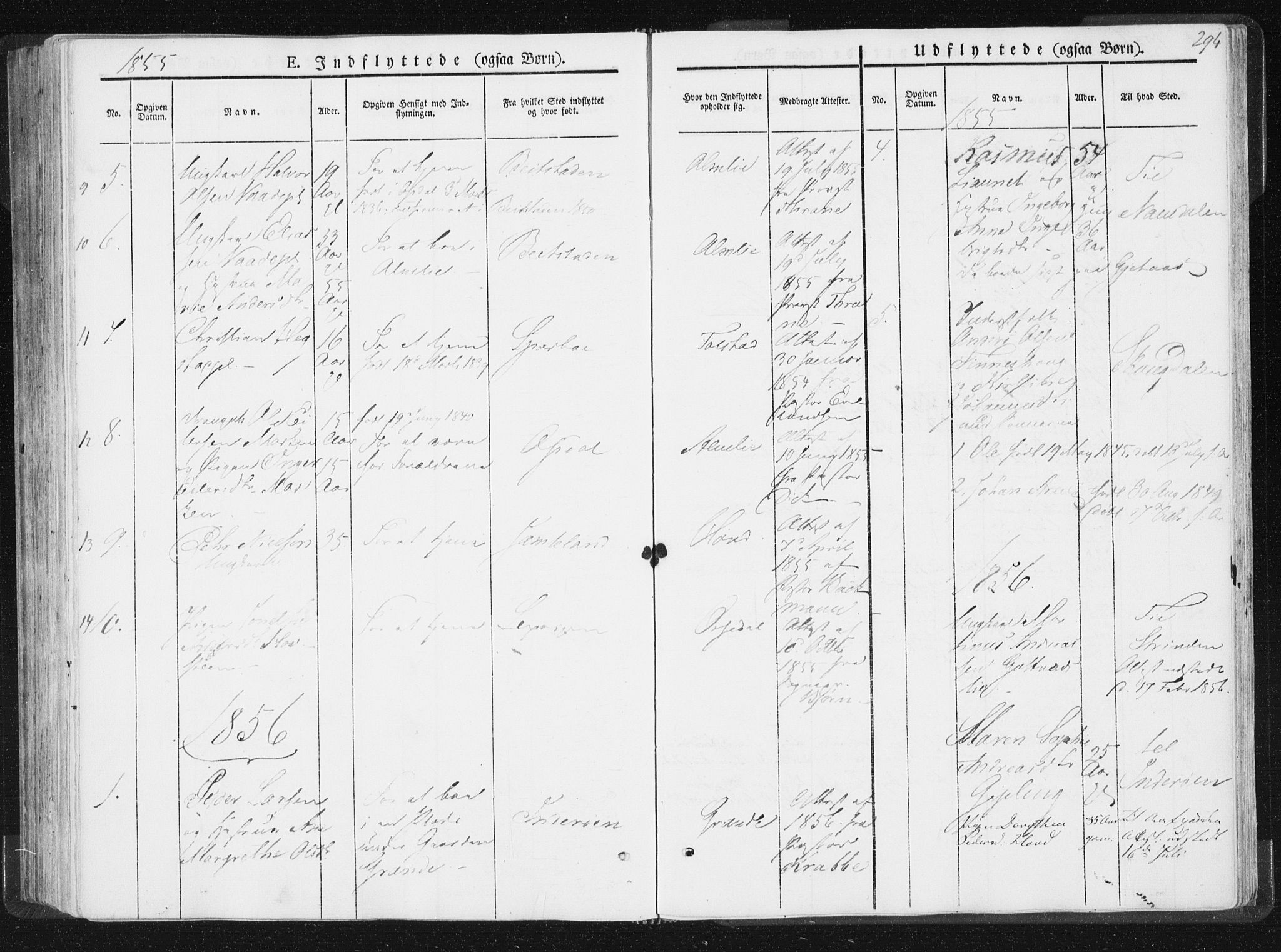Ministerialprotokoller, klokkerbøker og fødselsregistre - Nord-Trøndelag, SAT/A-1458/744/L0418: Parish register (official) no. 744A02, 1843-1866, p. 294