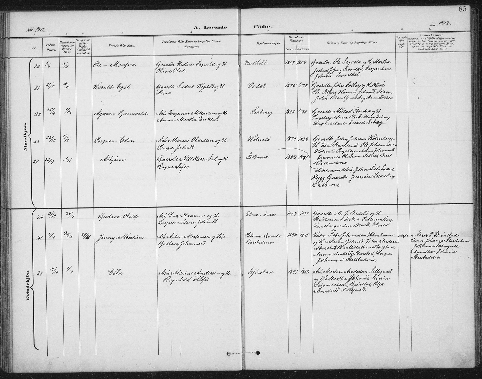 Ministerialprotokoller, klokkerbøker og fødselsregistre - Nord-Trøndelag, AV/SAT-A-1458/724/L0269: Parish register (copy) no. 724C05, 1899-1920, p. 85