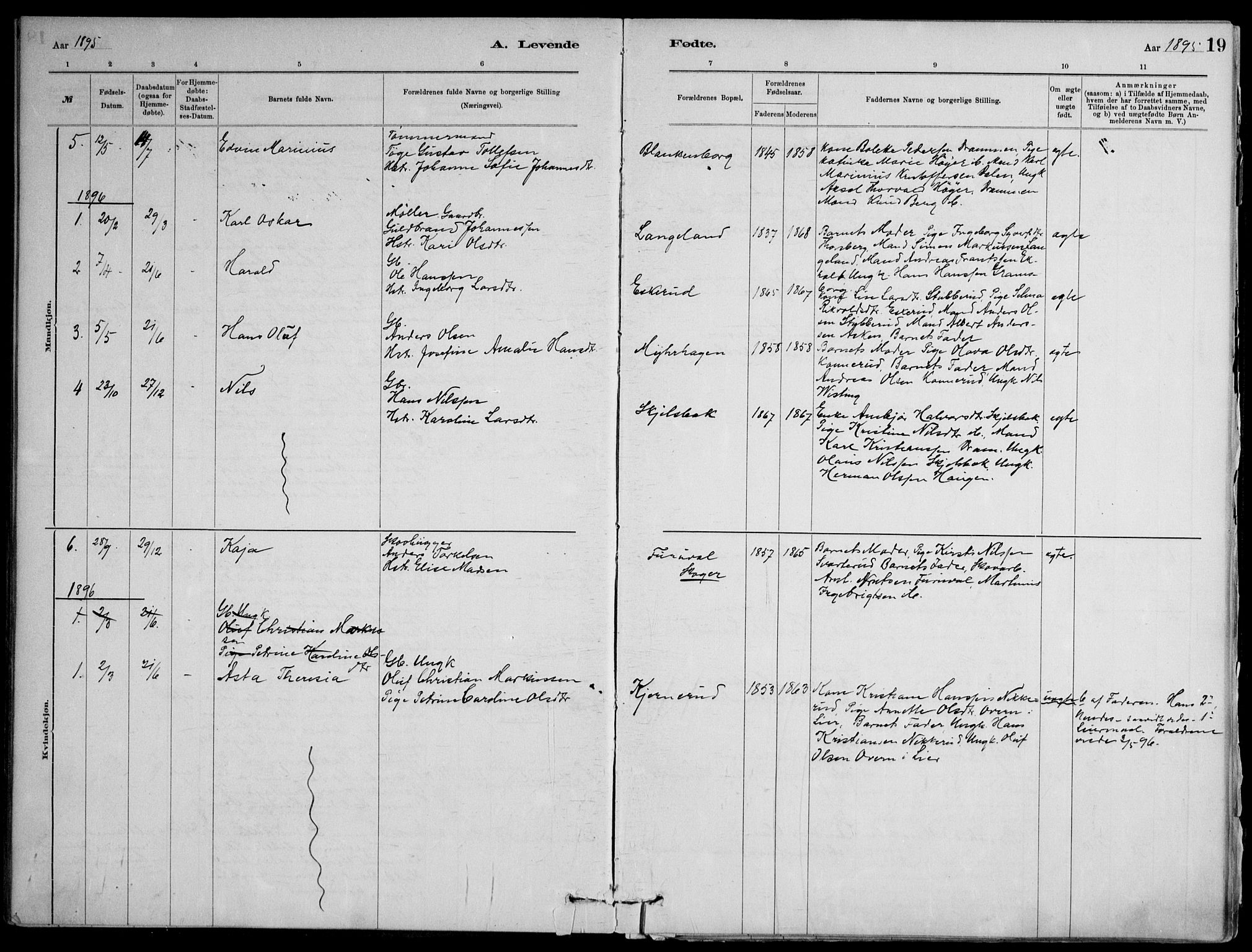 Skoger kirkebøker, SAKO/A-59/F/Fb/L0001: Parish register (official) no. II 1, 1885-1913, p. 19