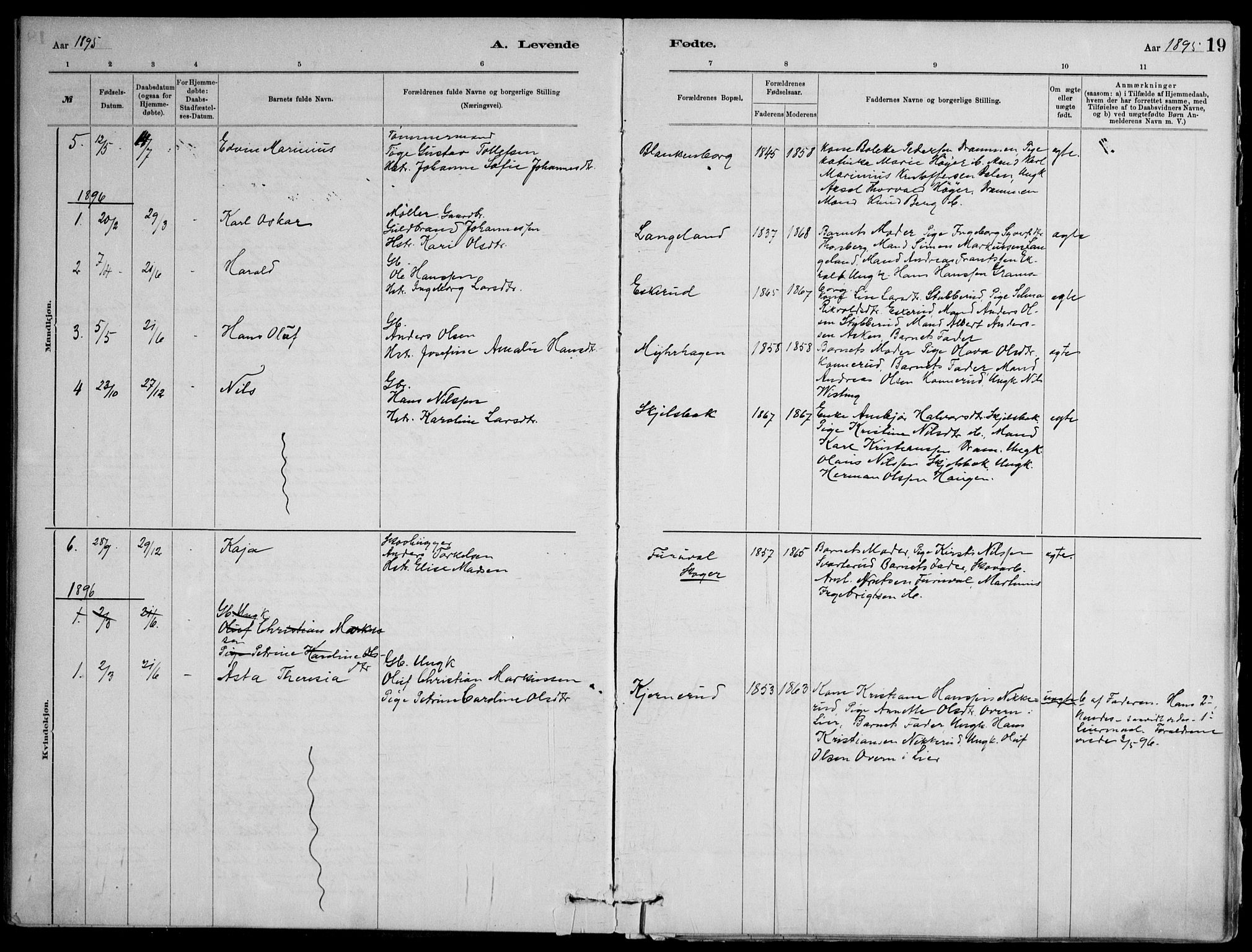 Skoger kirkebøker, AV/SAKO-A-59/F/Fb/L0001: Parish register (official) no. II 1, 1885-1913, p. 19