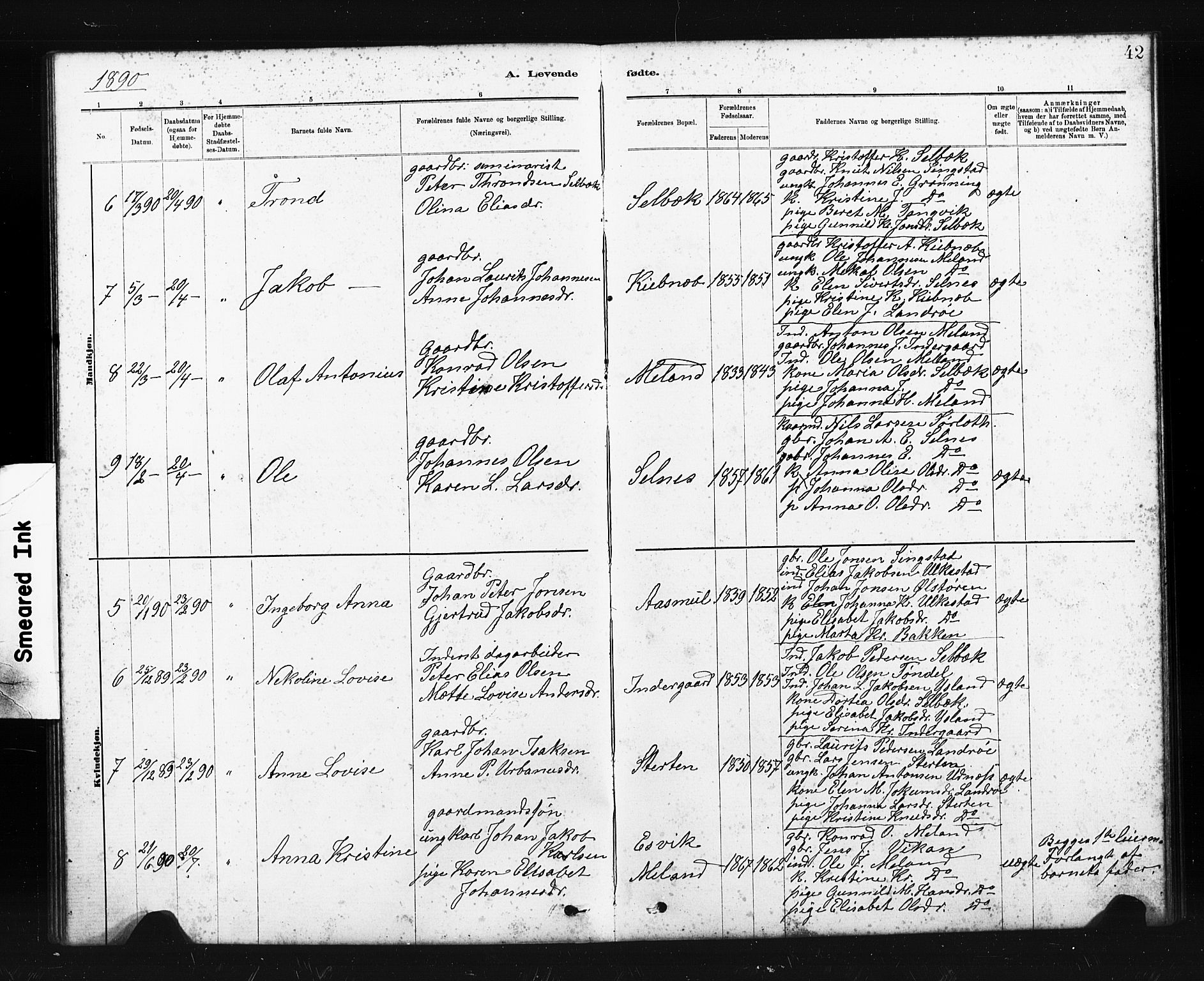 Ministerialprotokoller, klokkerbøker og fødselsregistre - Sør-Trøndelag, SAT/A-1456/663/L0761: Parish register (copy) no. 663C01, 1880-1893, p. 42