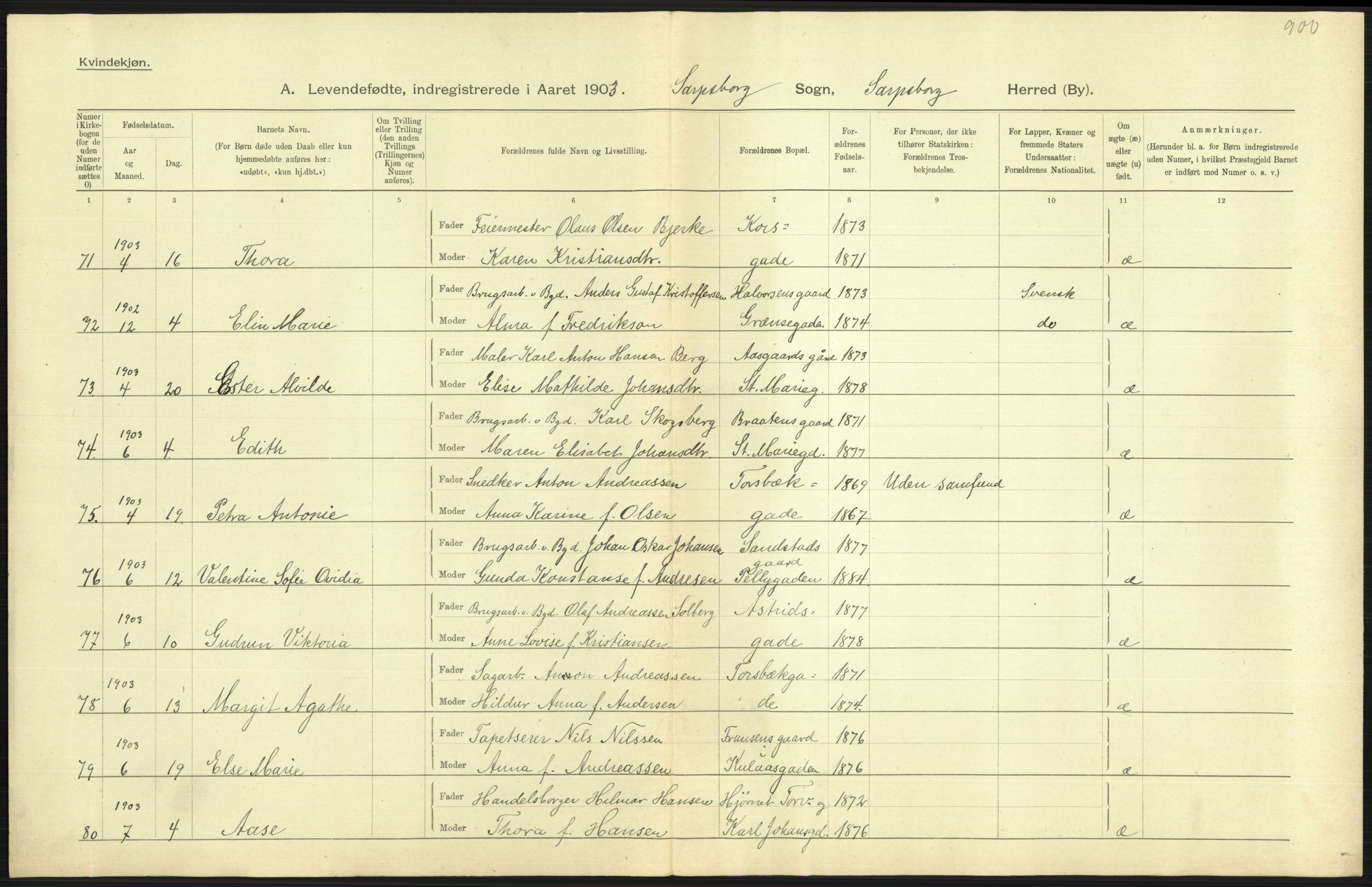 Statistisk sentralbyrå, Sosiodemografiske emner, Befolkning, AV/RA-S-2228/D/Df/Dfa/Dfaa/L0001: Smålenenes amt: Fødte, gifte, døde, 1903, p. 371