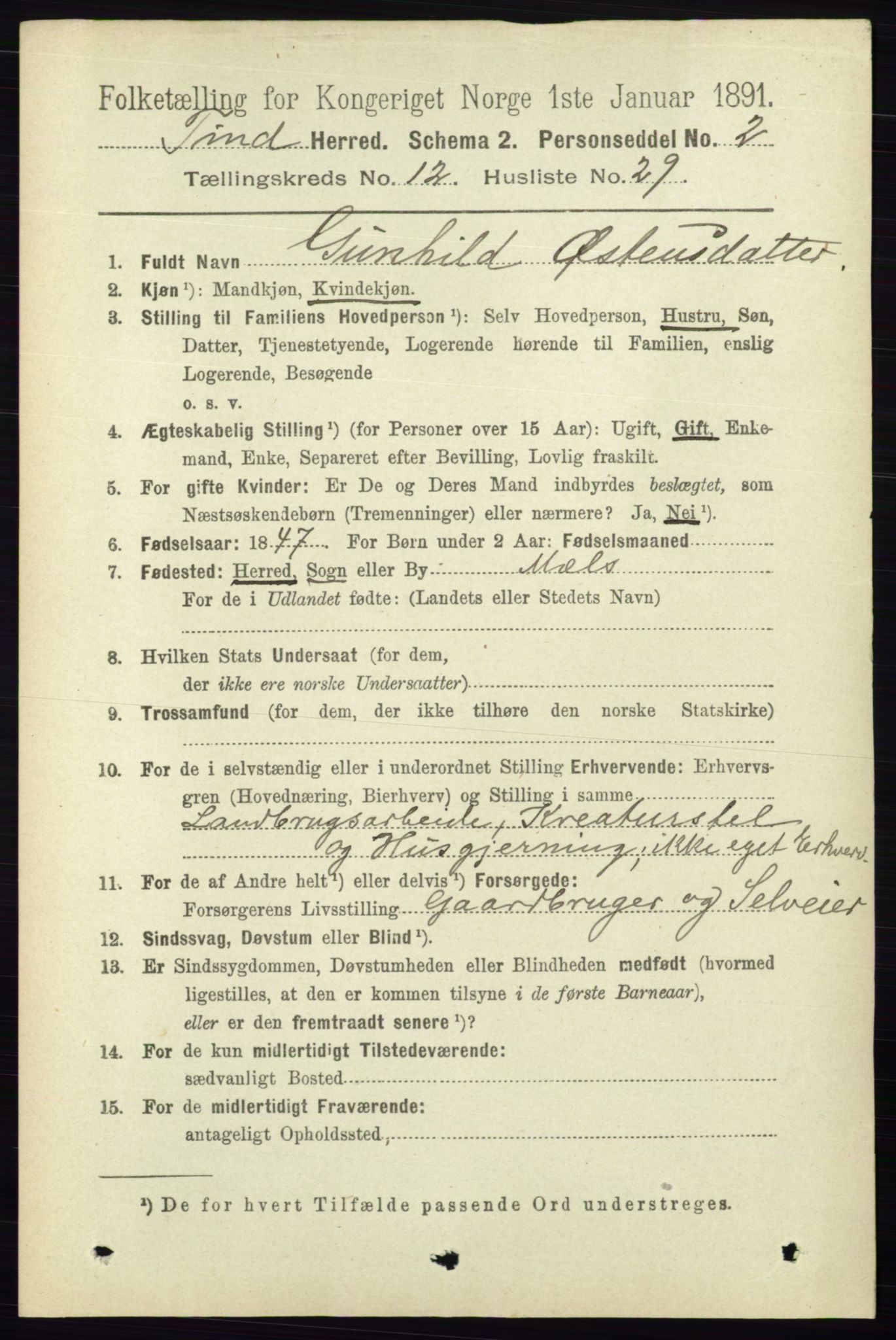 RA, 1891 census for 0826 Tinn, 1891, p. 2478