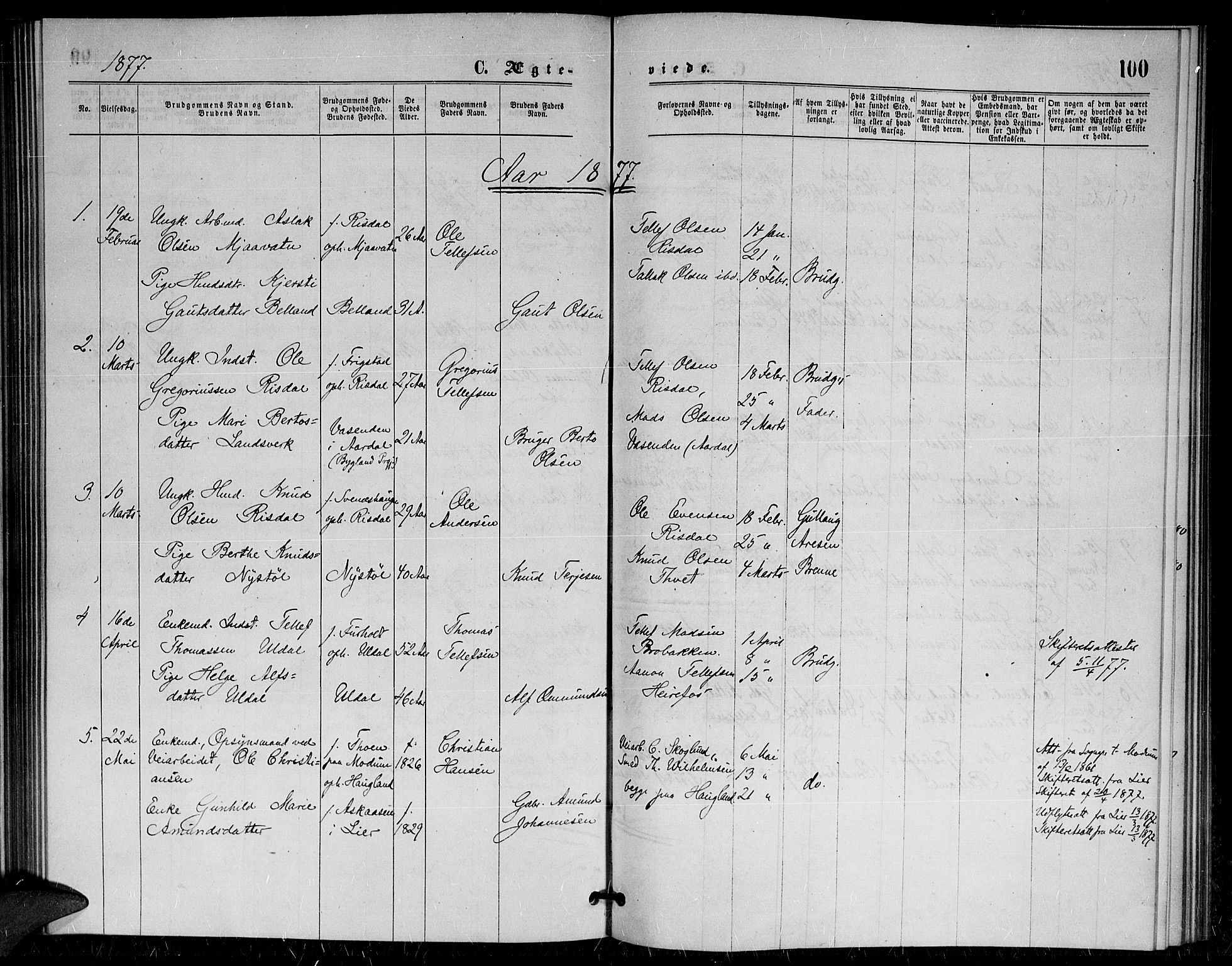 Herefoss sokneprestkontor, AV/SAK-1111-0019/F/Fa/Fac/L0001: Parish register (official) no. A 1, 1871-1886, p. 100