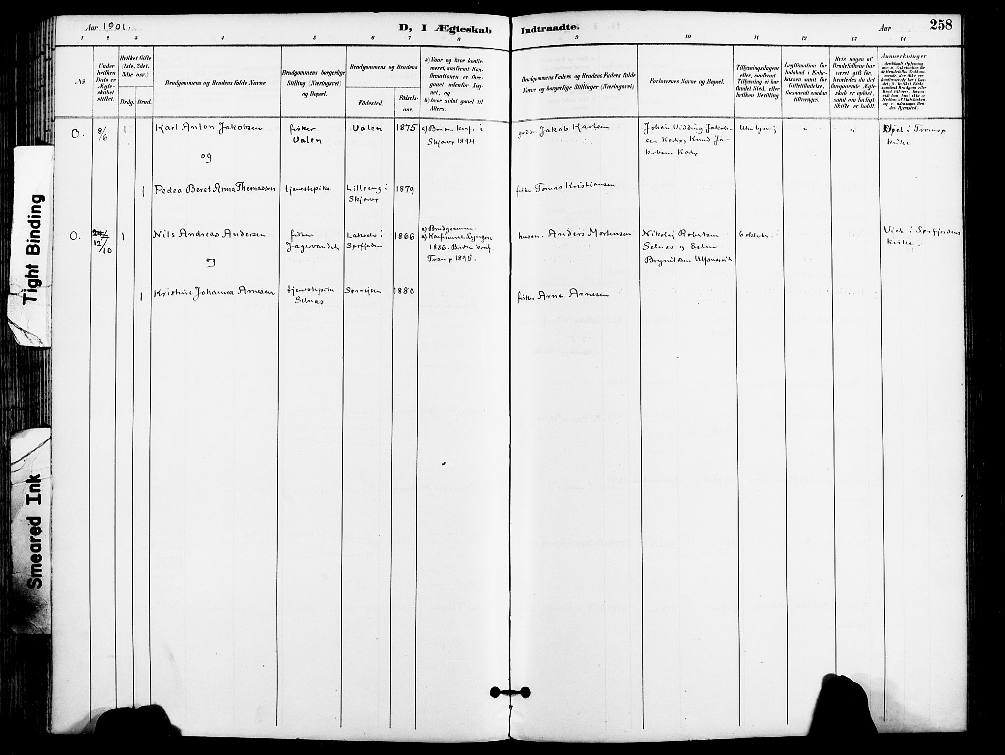 Karlsøy sokneprestembete, SATØ/S-1299/H/Ha/Haa/L0007kirke: Parish register (official) no. 7, 1891-1902, p. 258
