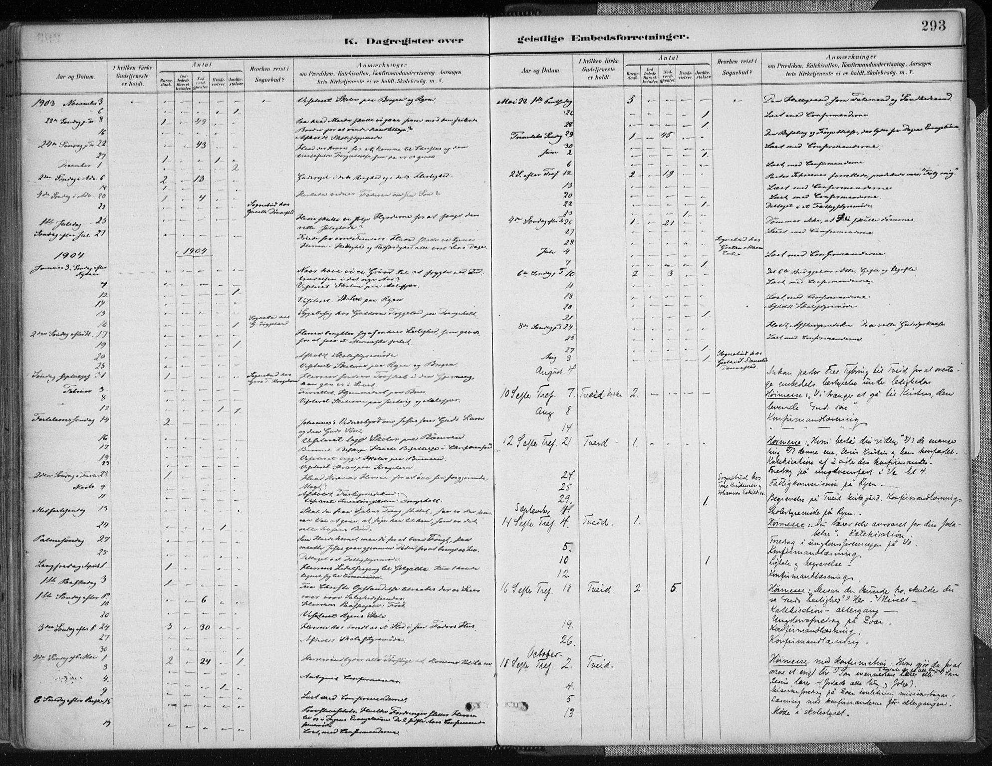 Tveit sokneprestkontor, AV/SAK-1111-0043/F/Fa/L0007: Parish register (official) no. A 7, 1887-1908, p. 293