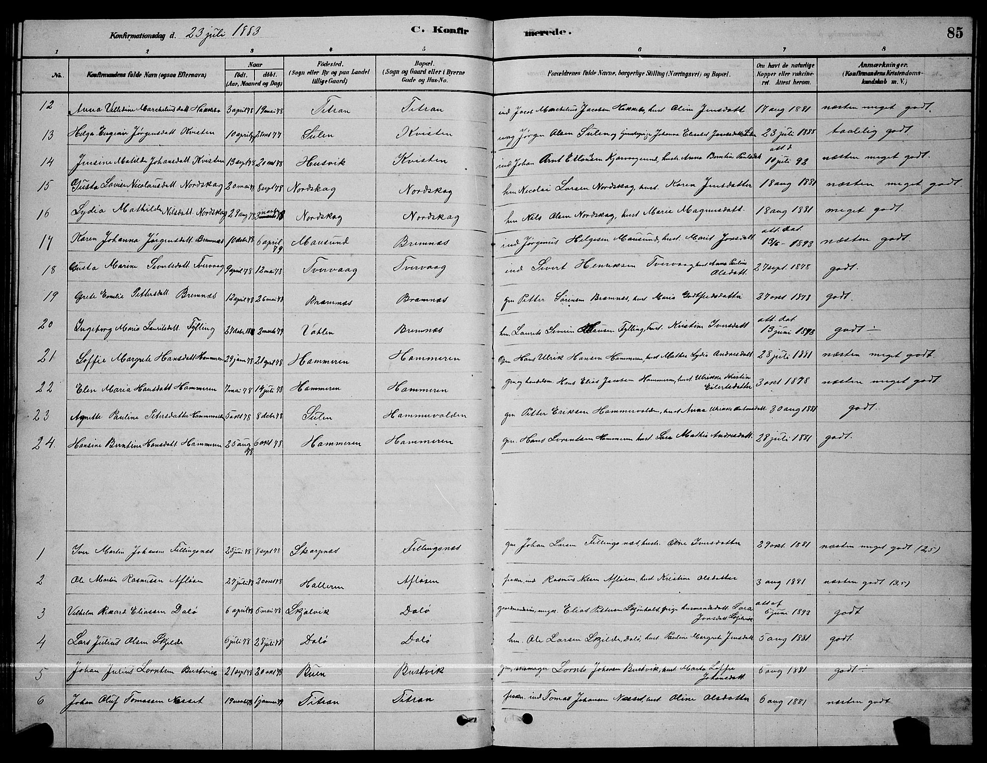 Ministerialprotokoller, klokkerbøker og fødselsregistre - Sør-Trøndelag, AV/SAT-A-1456/641/L0597: Parish register (copy) no. 641C01, 1878-1893, p. 85