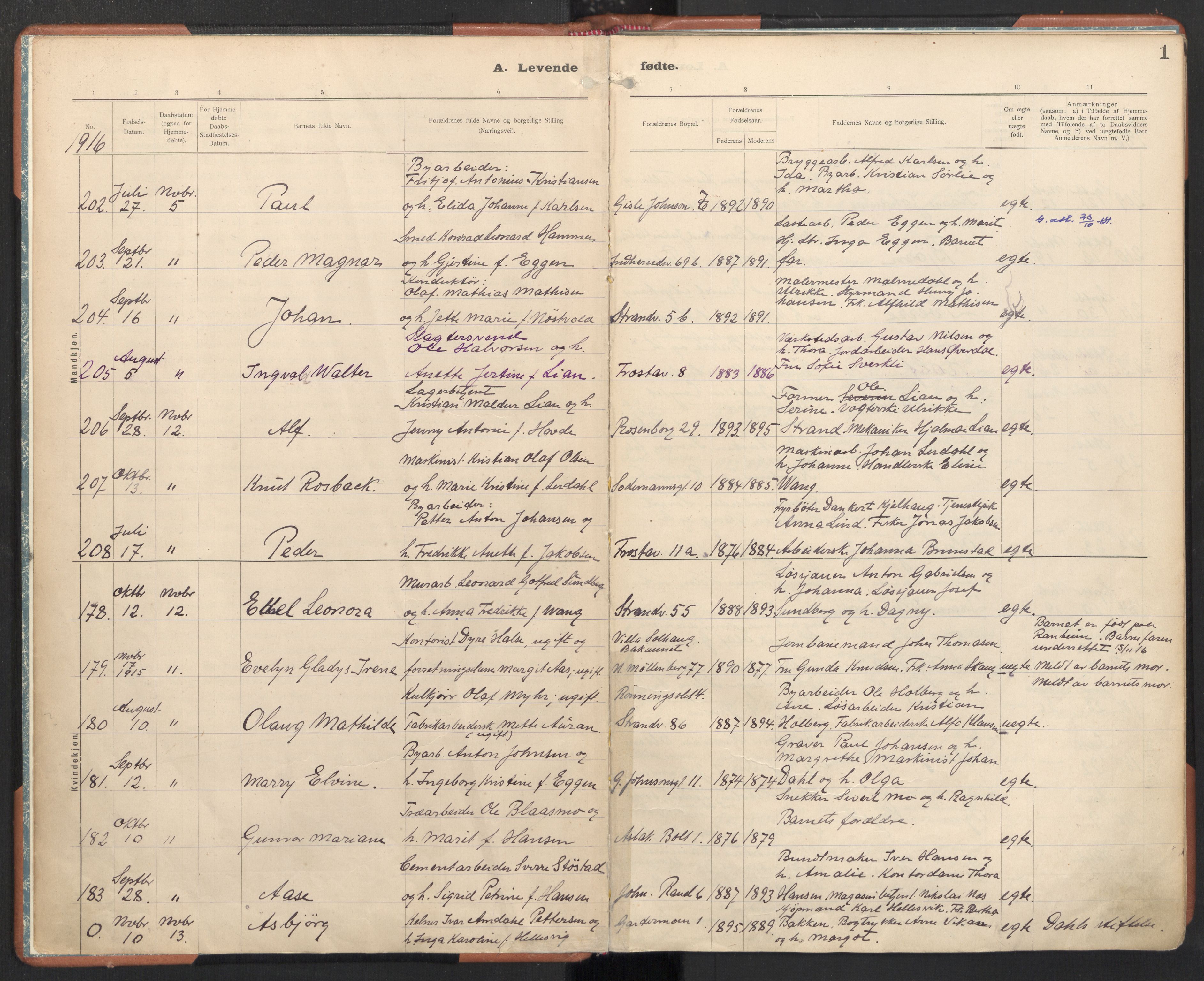 Ministerialprotokoller, klokkerbøker og fødselsregistre - Sør-Trøndelag, SAT/A-1456/605/L0246: Parish register (official) no. 605A08, 1916-1920, p. 1