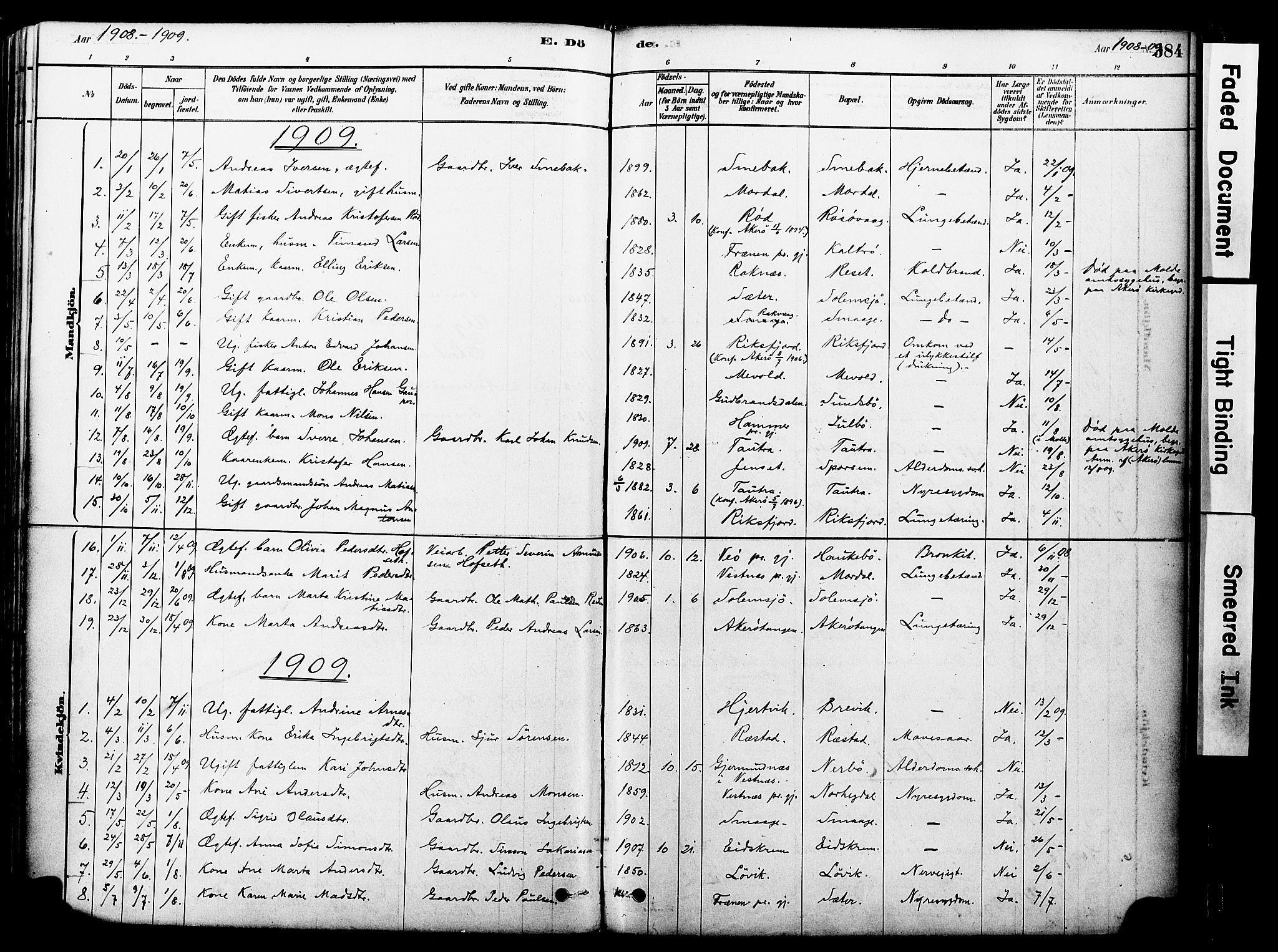 Ministerialprotokoller, klokkerbøker og fødselsregistre - Møre og Romsdal, SAT/A-1454/560/L0721: Parish register (official) no. 560A05, 1878-1917, p. 384