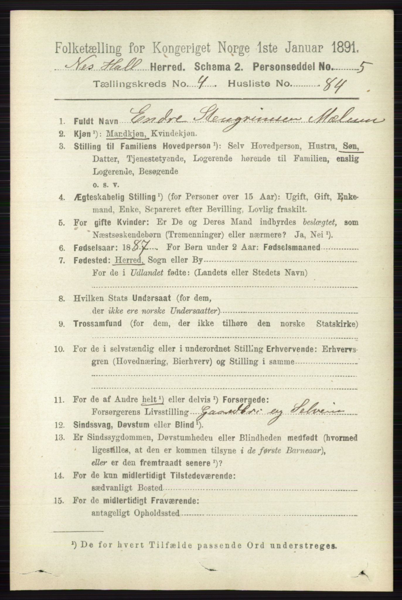 RA, 1891 census for 0616 Nes, 1891, p. 2563