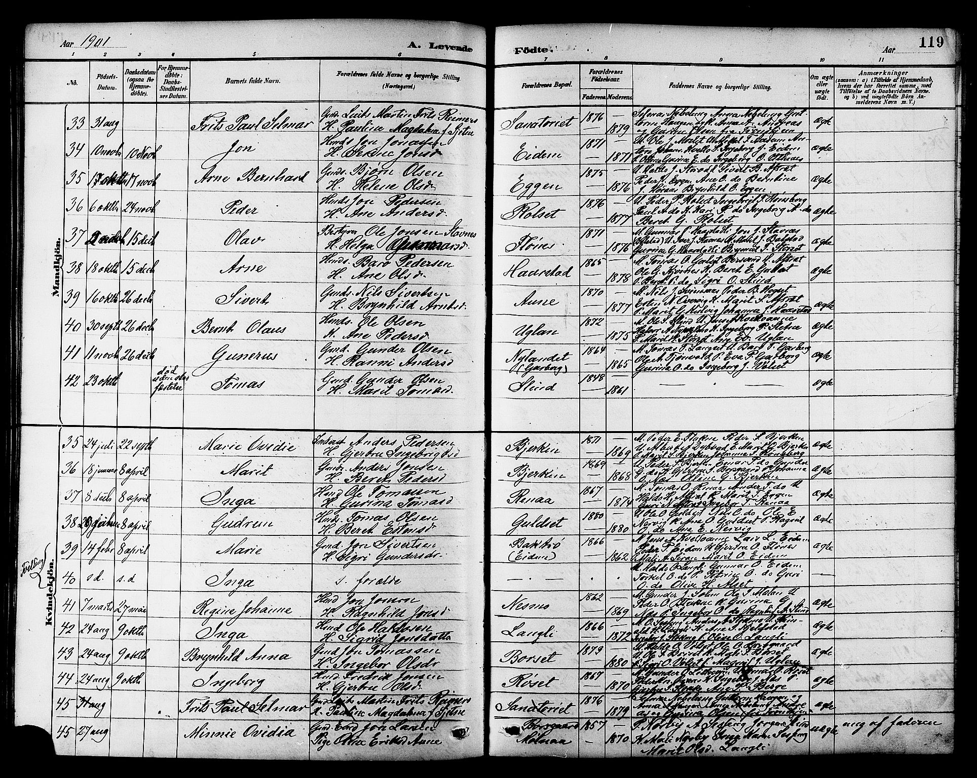 Ministerialprotokoller, klokkerbøker og fødselsregistre - Sør-Trøndelag, AV/SAT-A-1456/695/L1157: Parish register (copy) no. 695C08, 1889-1913, p. 119