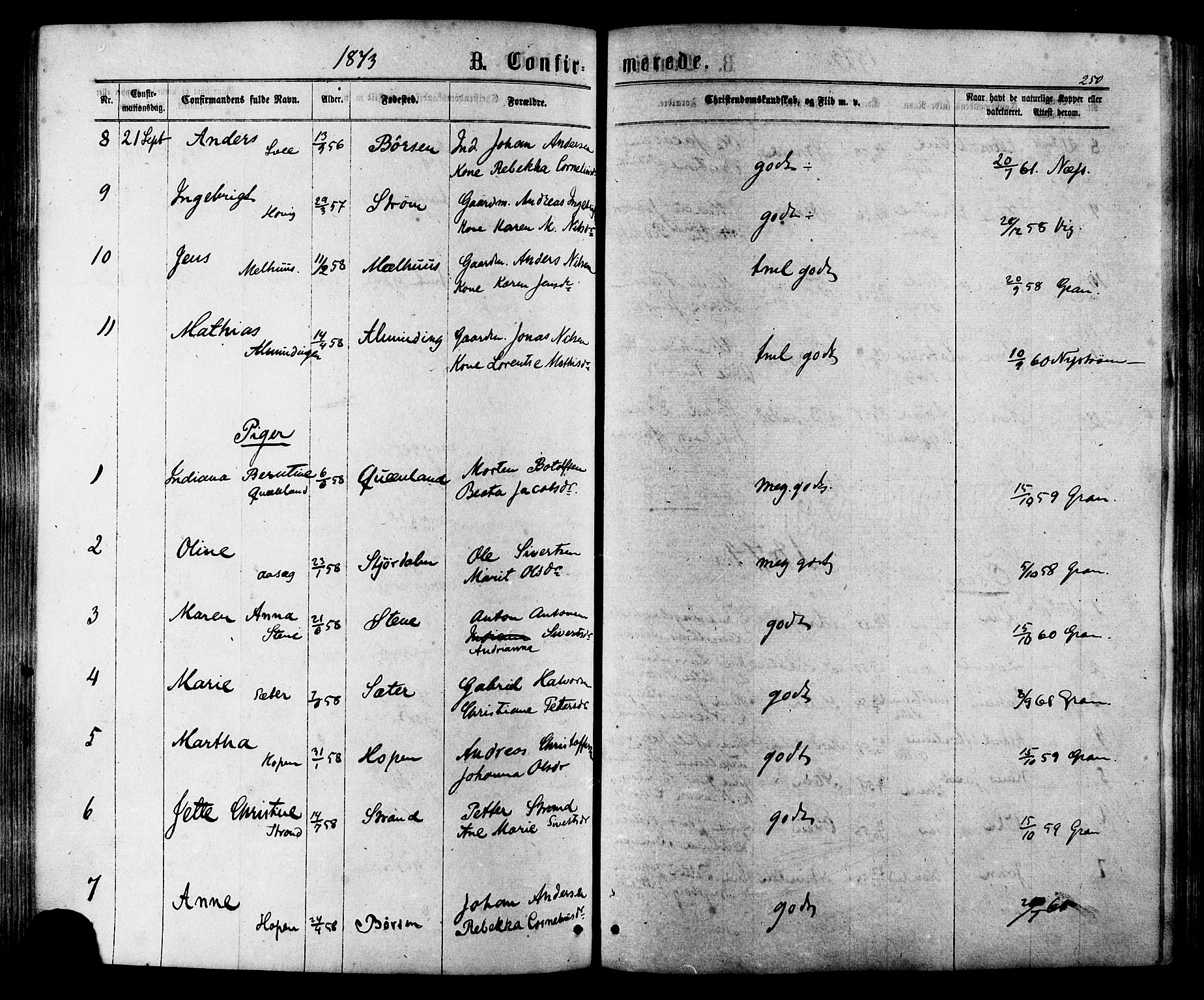 Ministerialprotokoller, klokkerbøker og fødselsregistre - Sør-Trøndelag, AV/SAT-A-1456/657/L0706: Parish register (official) no. 657A07, 1867-1878, p. 250