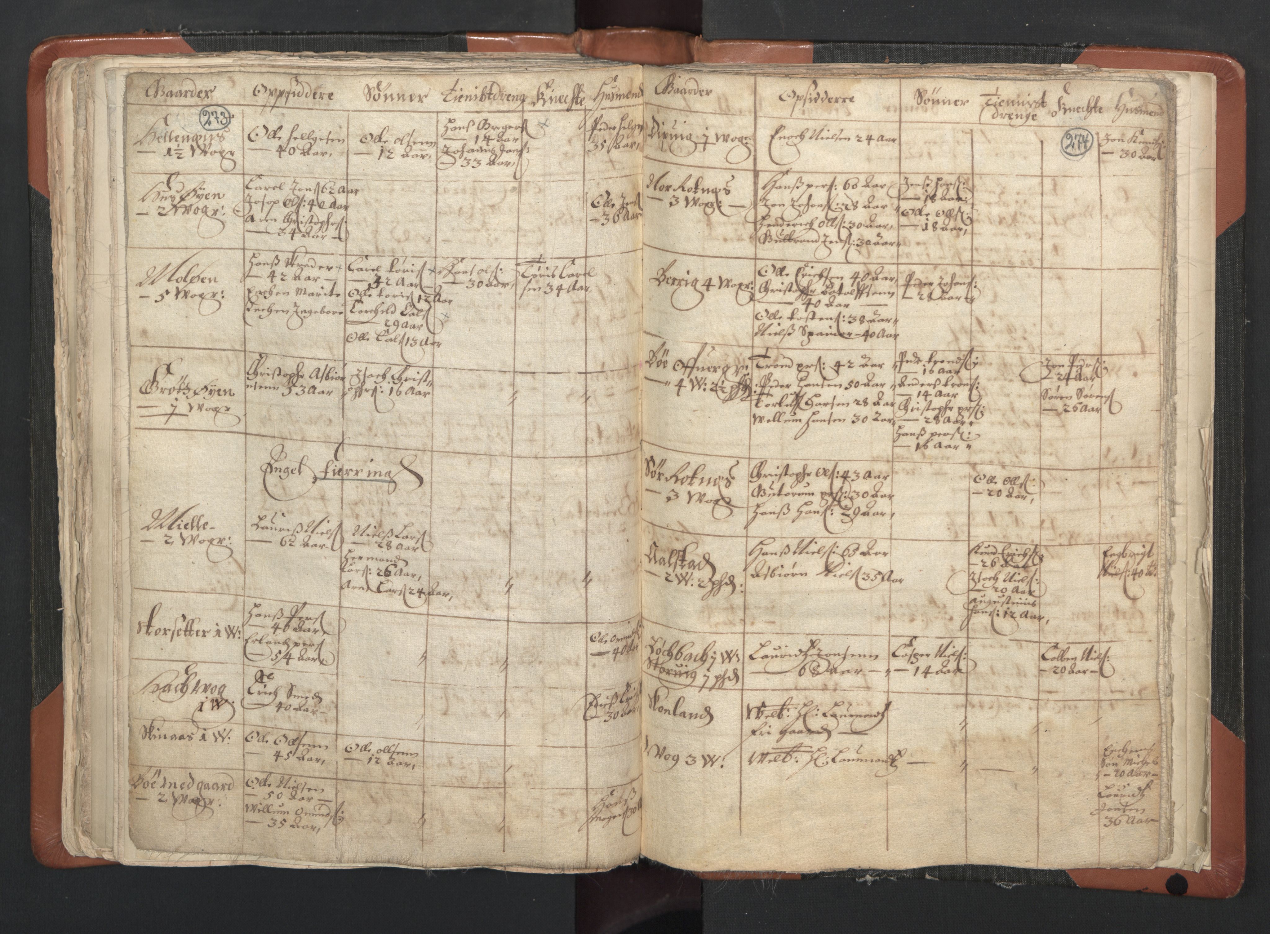 RA, Vicar's Census 1664-1666, no. 35: Helgeland deanery and Salten deanery, 1664-1666, p. 273-274