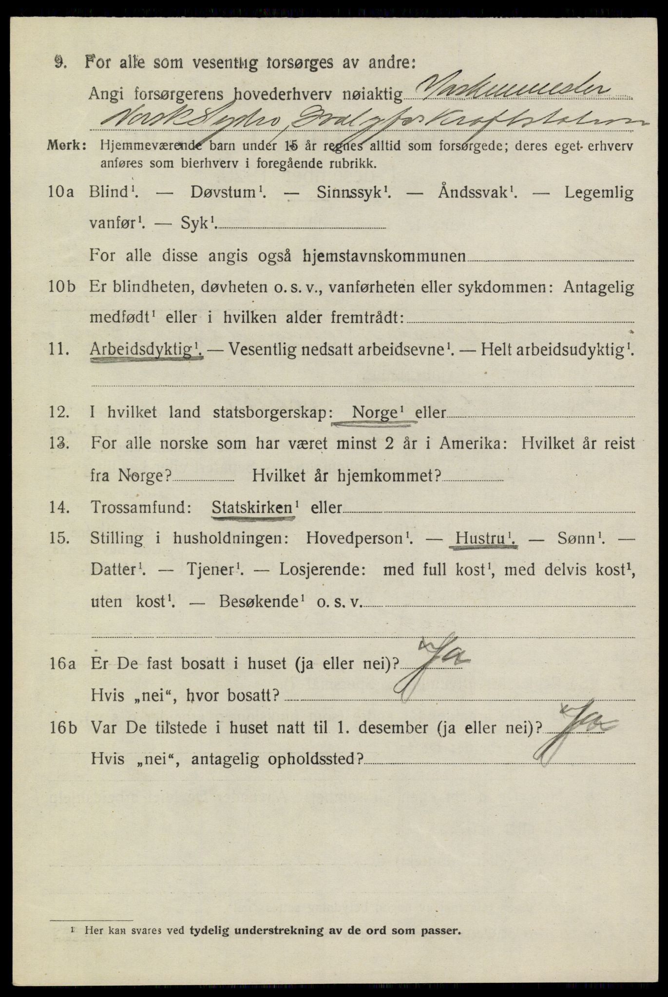 SAKO, 1920 census for Heddal, 1920, p. 8113