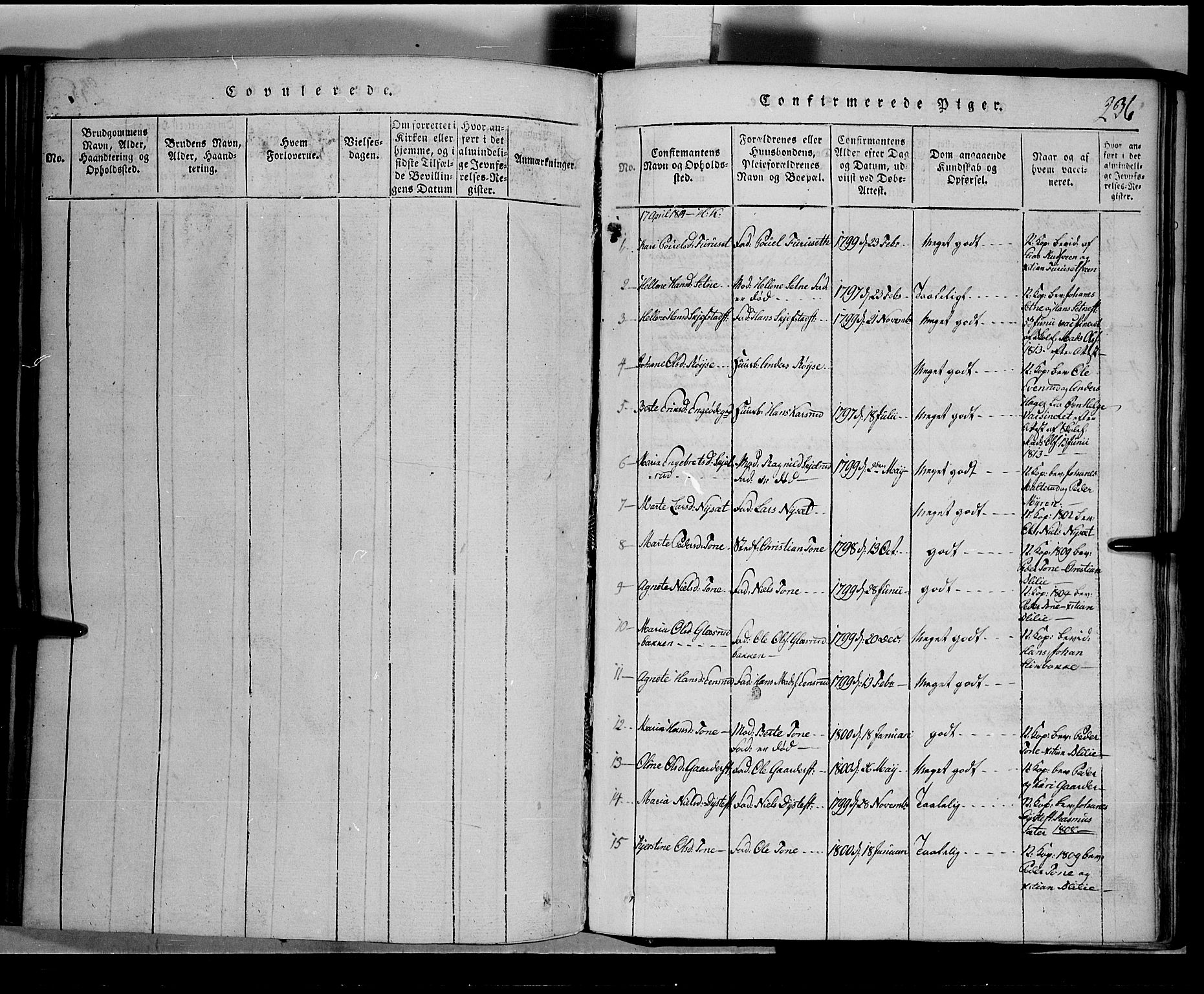 Toten prestekontor, SAH/PREST-102/H/Ha/Hab/L0001: Parish register (copy) no. 1, 1814-1820, p. 236