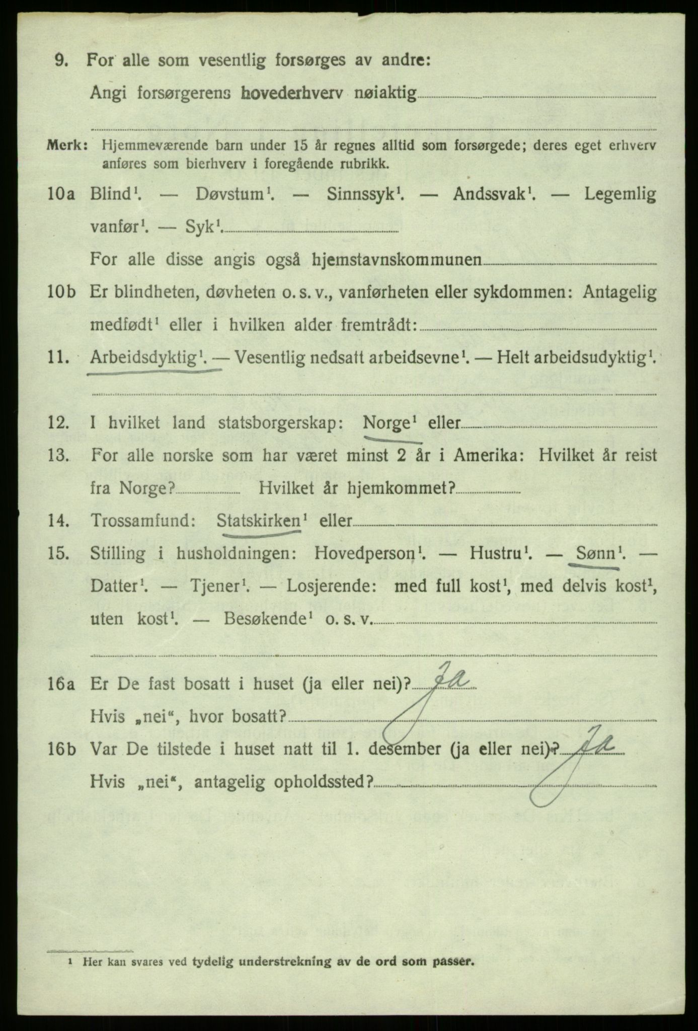 SAB, 1920 census for Lærdal, 1920, p. 4255