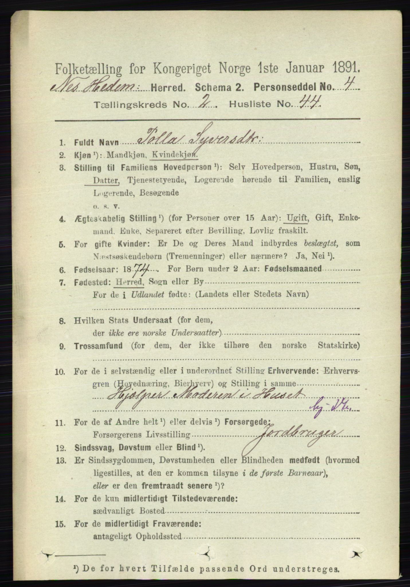 RA, 1891 census for 0411 Nes, 1891, p. 1392