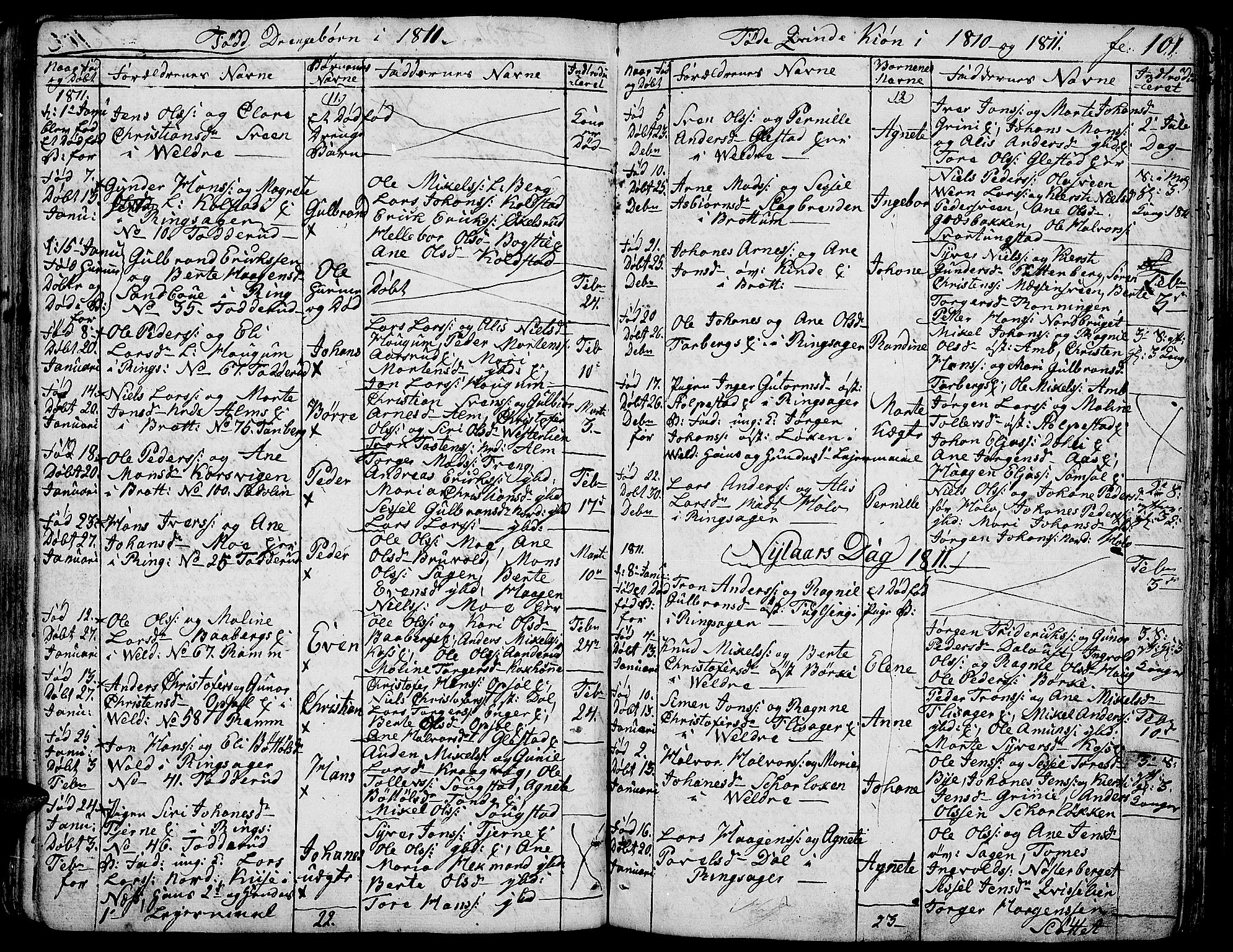 Ringsaker prestekontor, AV/SAH-PREST-014/K/Ka/L0004: Parish register (official) no. 4, 1799-1814, p. 101