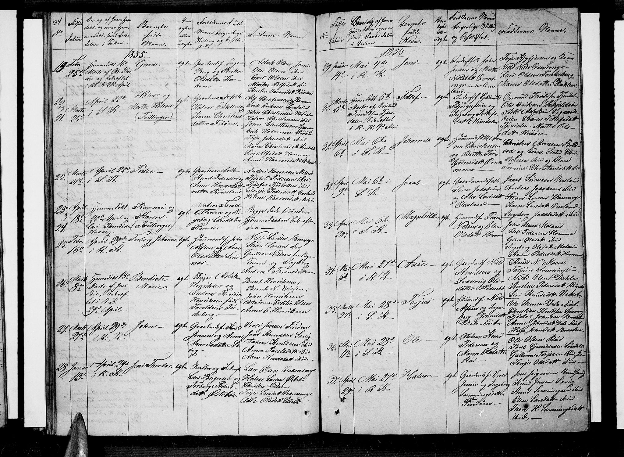 Søndeled sokneprestkontor, AV/SAK-1111-0038/F/Fb/L0003: Parish register (copy) no. B 3, 1849-1857, p. 34