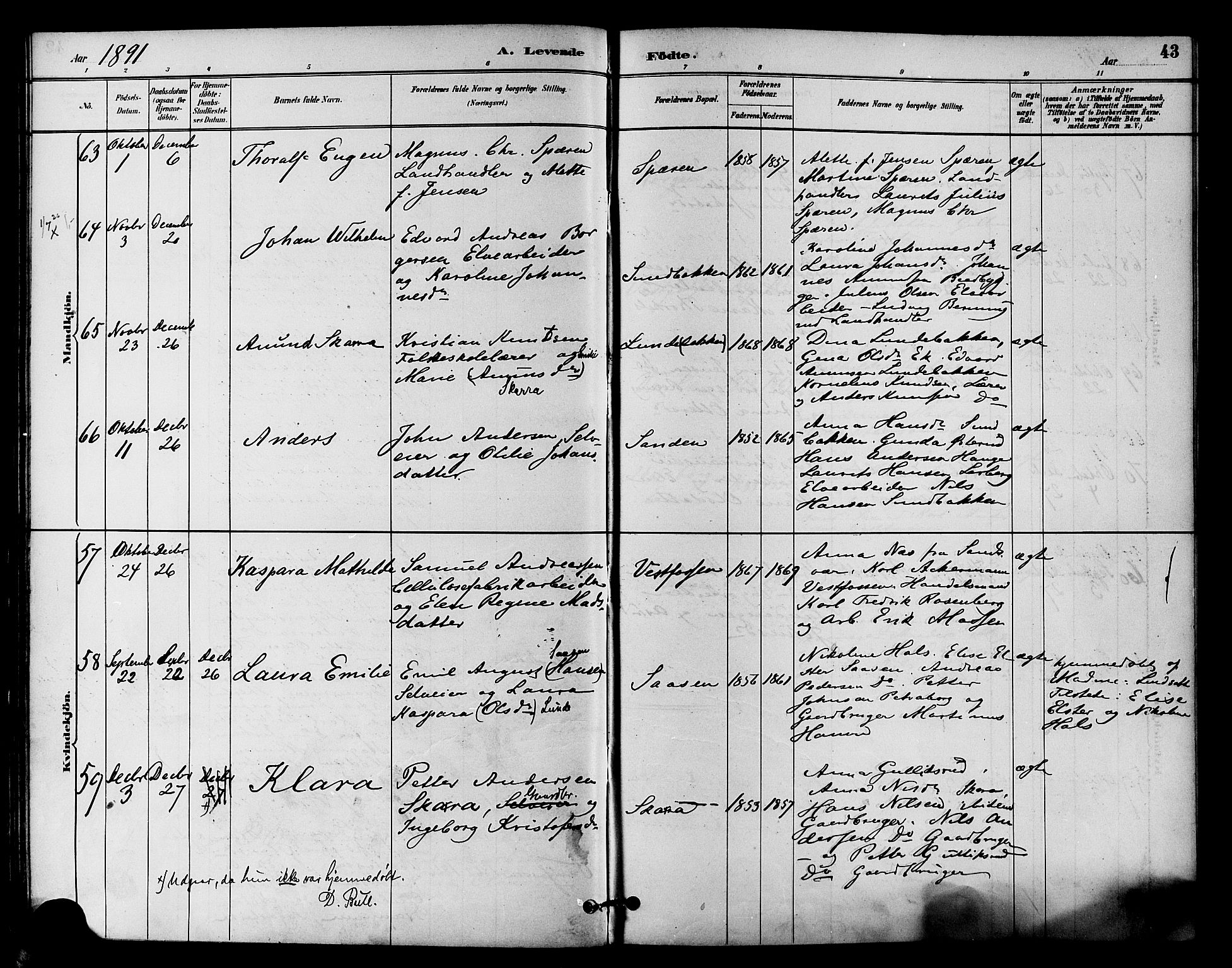 Eiker kirkebøker, SAKO/A-4/F/Fb/L0002: Parish register (official) no. II 2, 1889-1896, p. 43